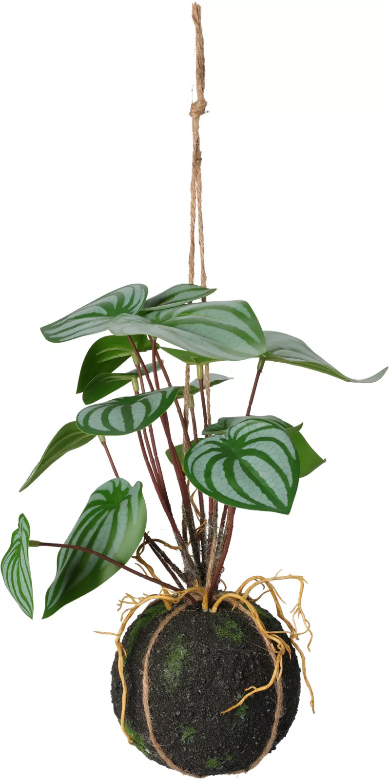 Plante à suspendre 30cm BOTANIC