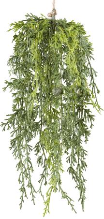 Plante tombante FLOWERS Plante tombante FLOWERS