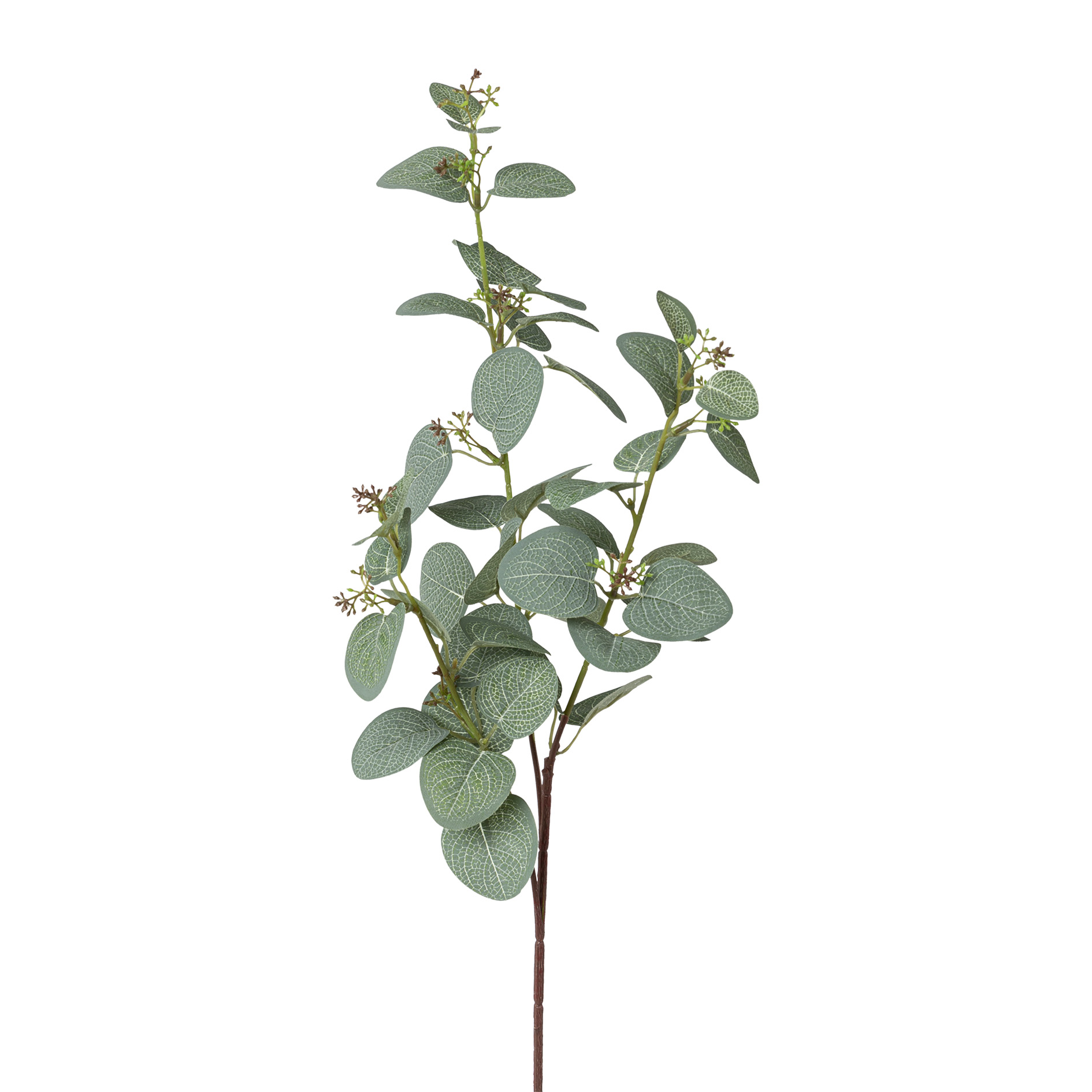 Plante artificielle branche eucalyptus  EUKALYPTUS