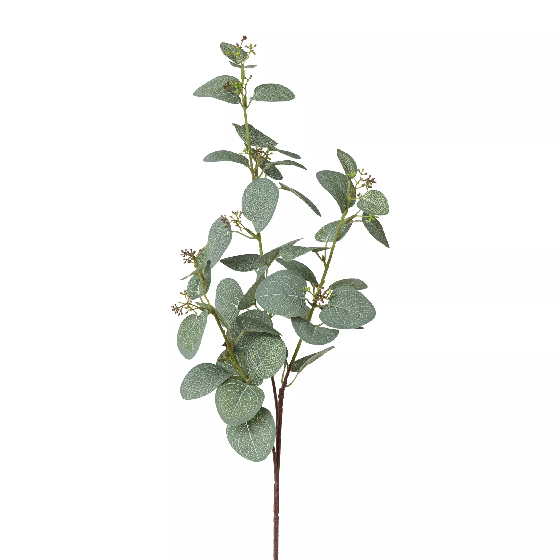 Dekopflanze Eukalyptuszweig EUKALYPTUS