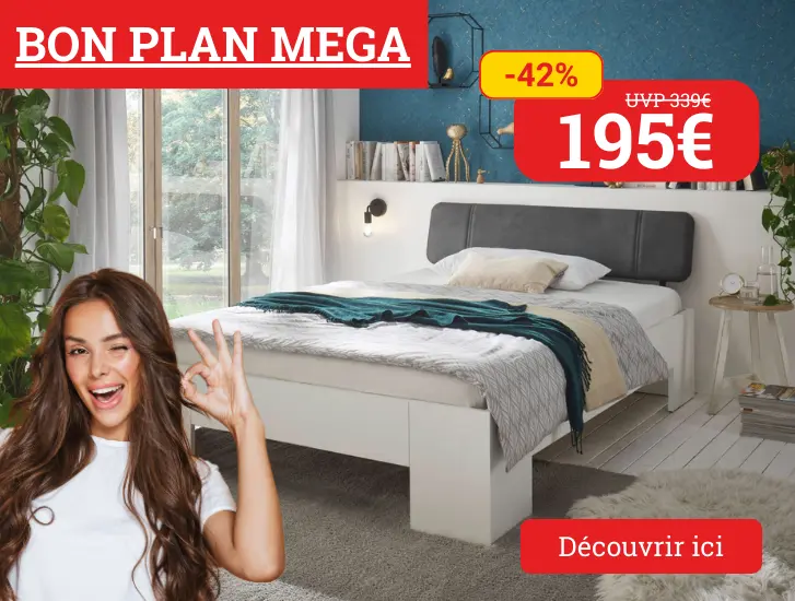 Notre SUPER BON PLAN ! - Lit Funton LINO