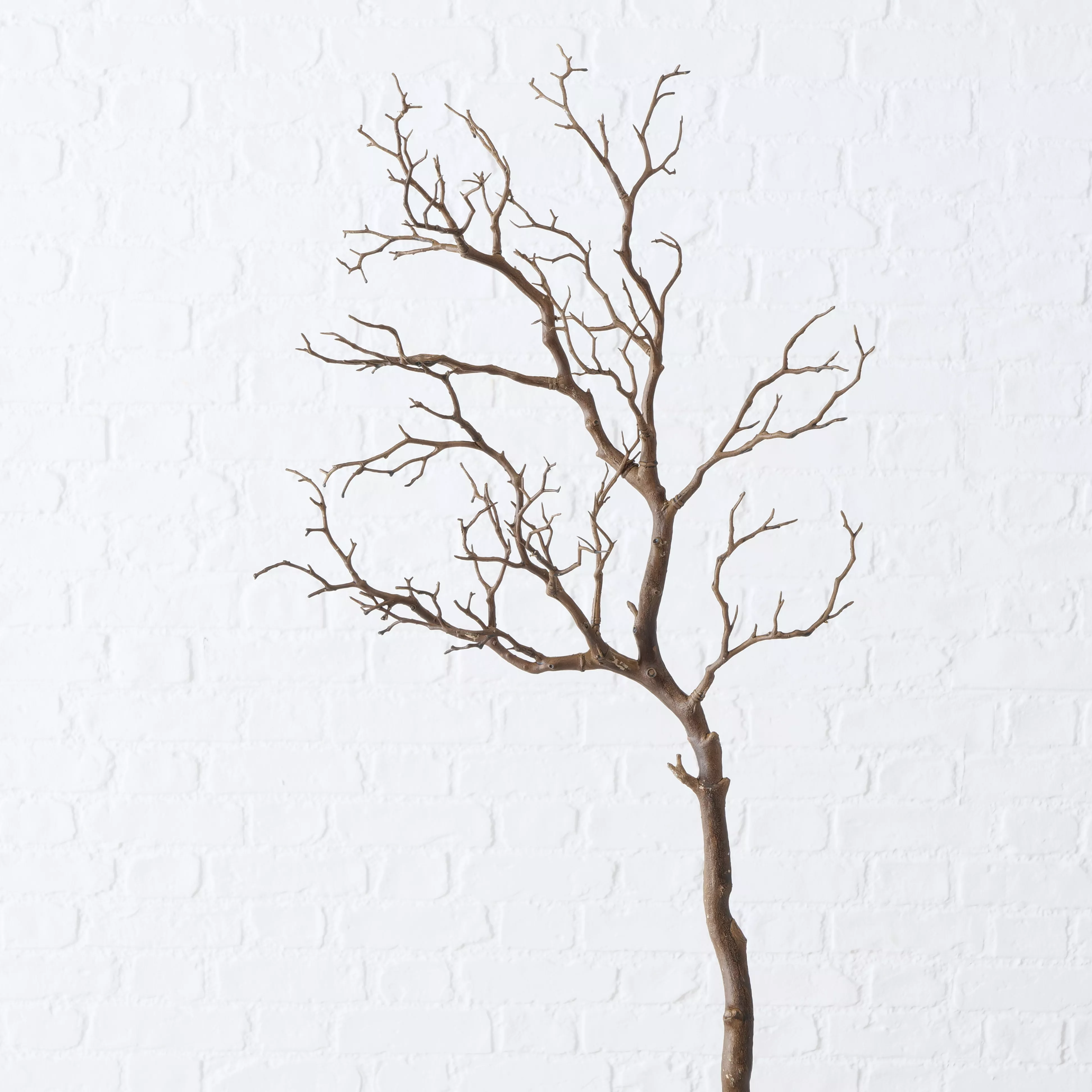 Branche décorative ASTRA