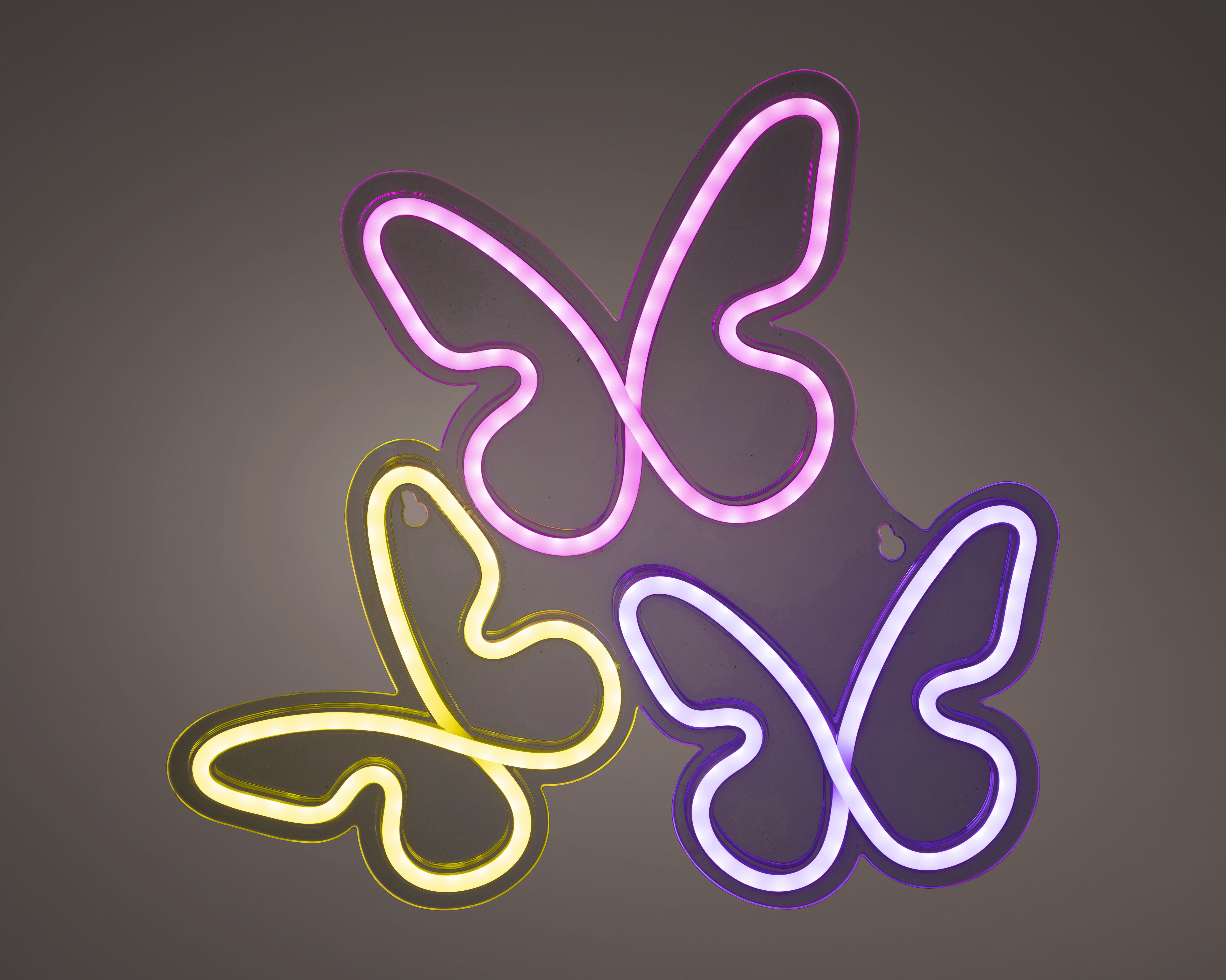 Lot de 3 LED néons papillons NEON