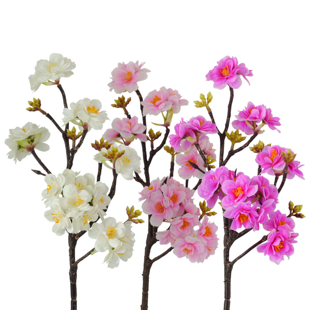 Branche décorative avec fleurs de pêcher