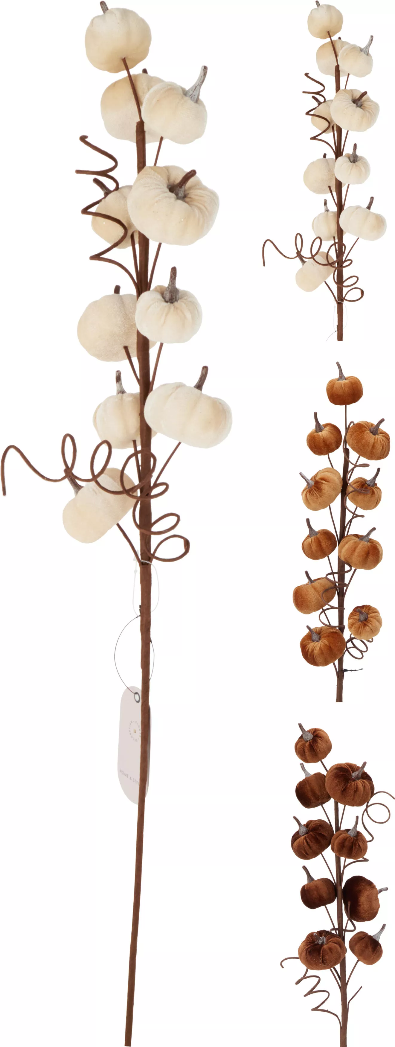 Branche d'automne feuilles HERBST
