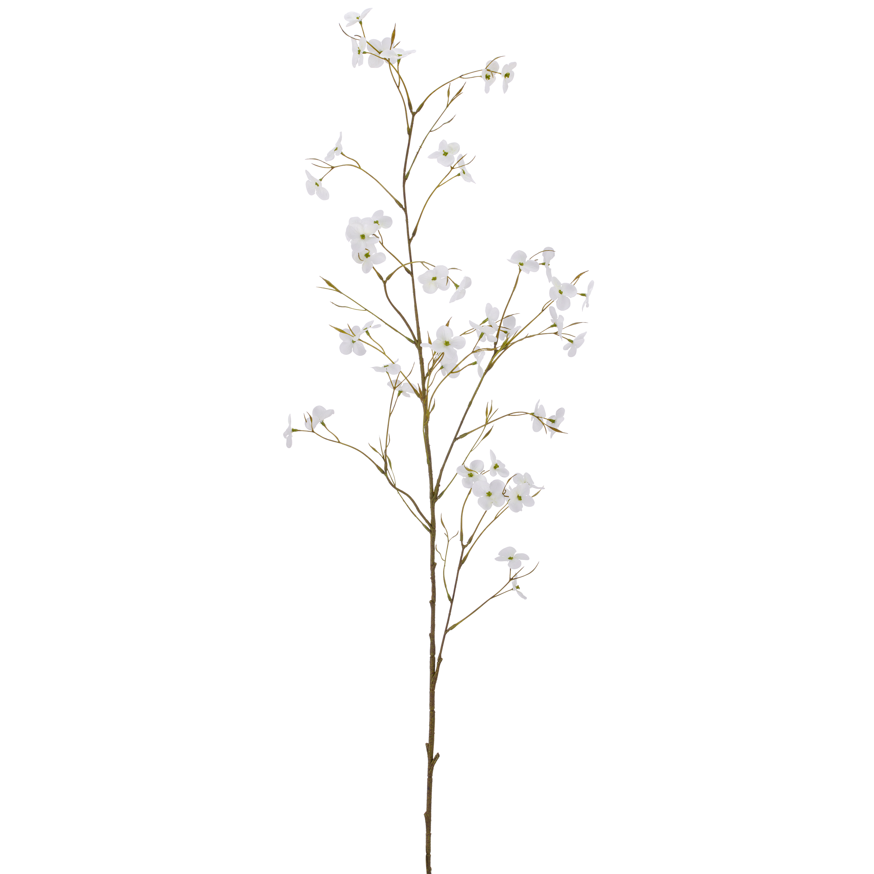 Cornuszweig REAL TOUCH