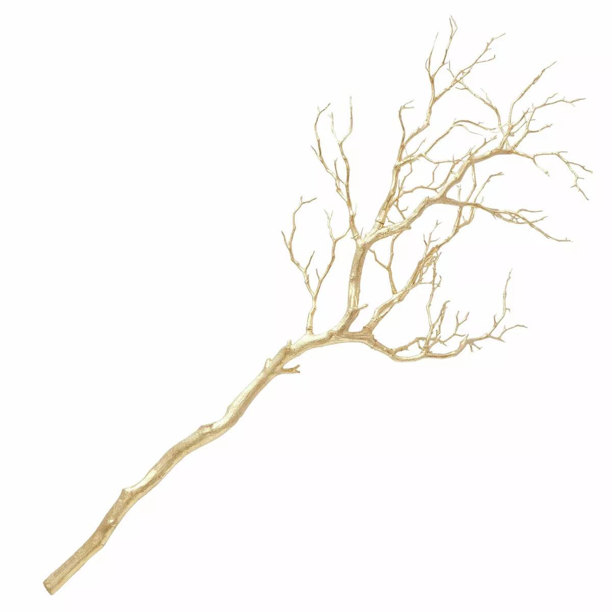 Branche décorative ASTRA