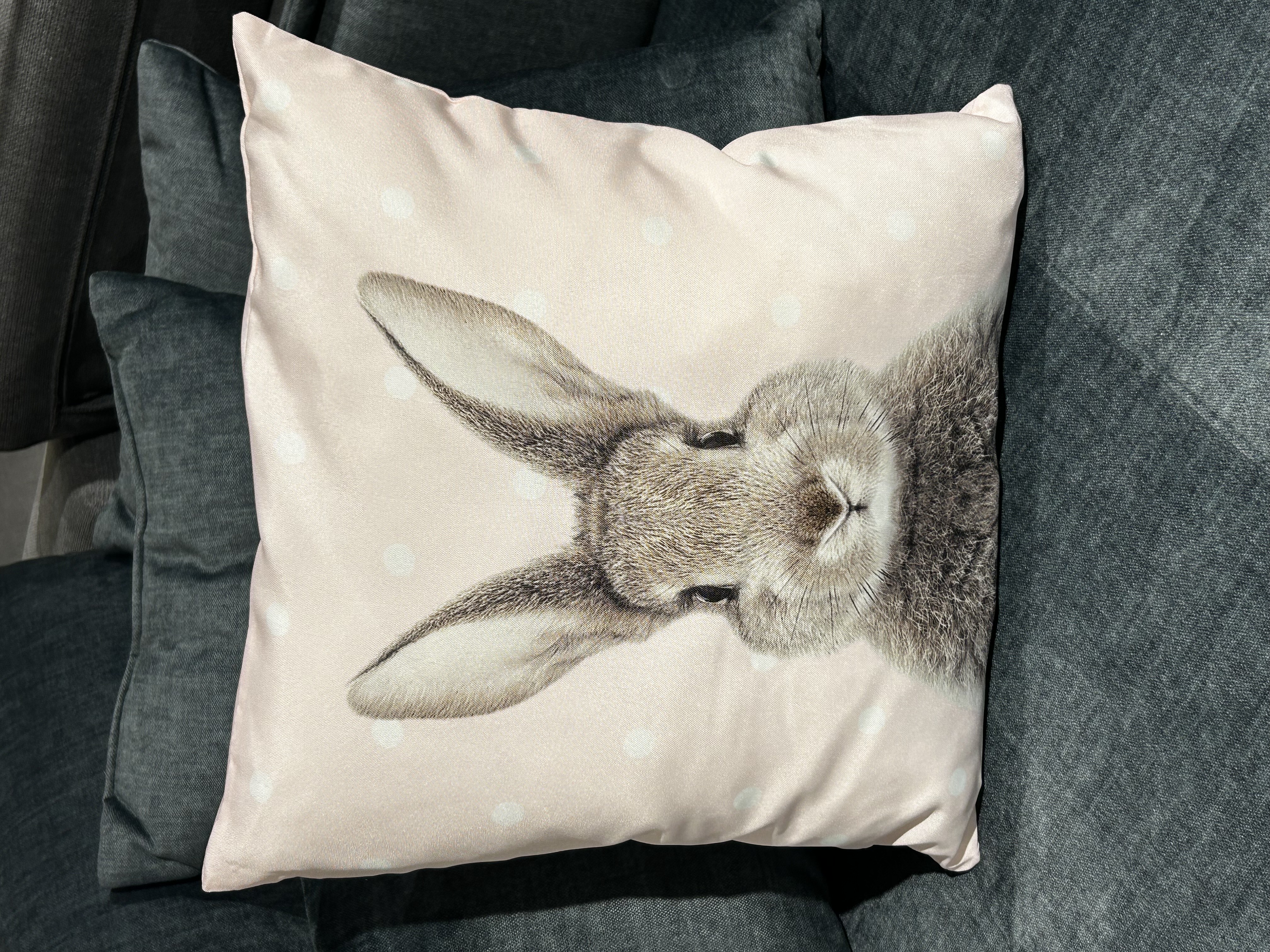 Coussin garni  ROGER