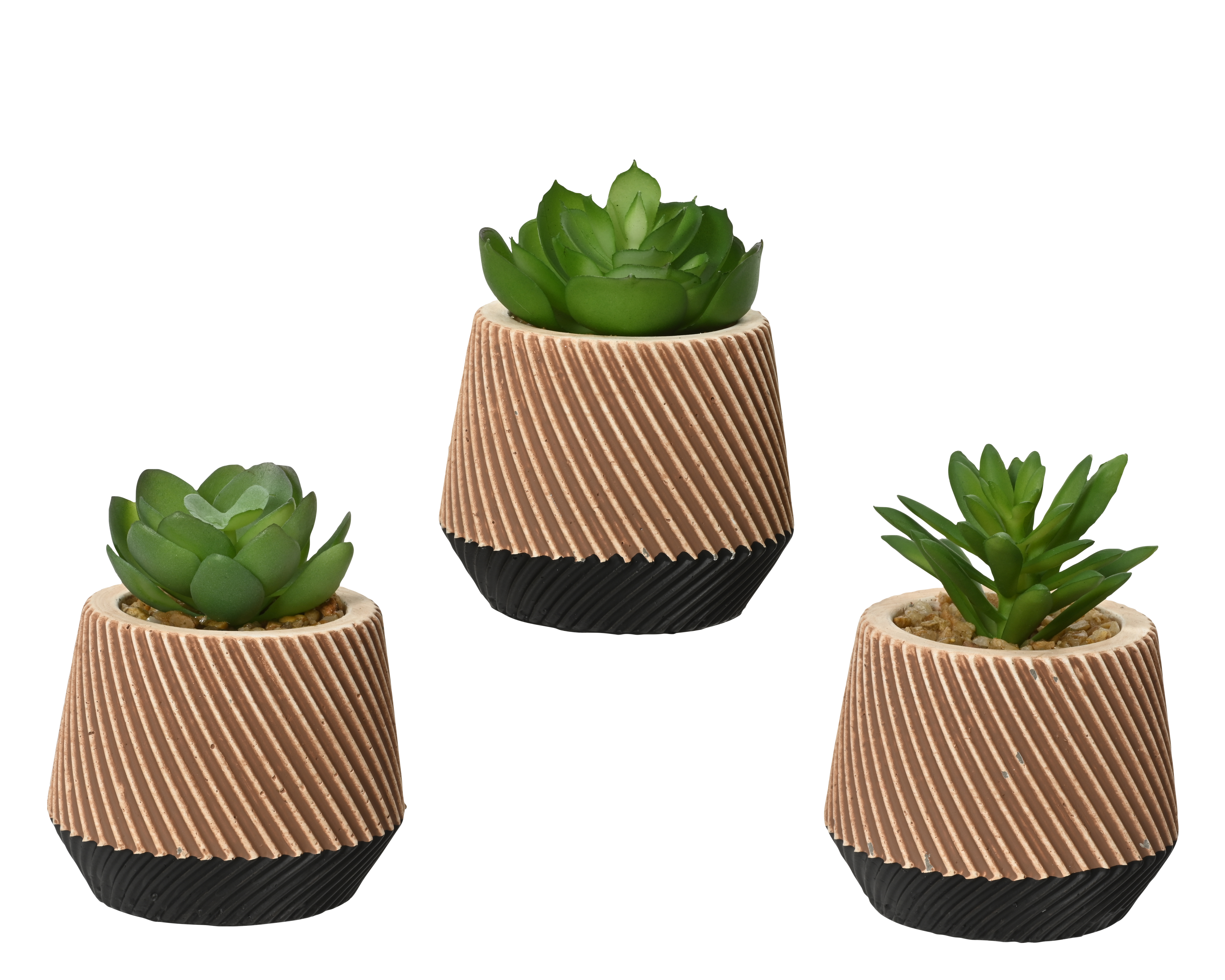 Succulente en pot DEKO