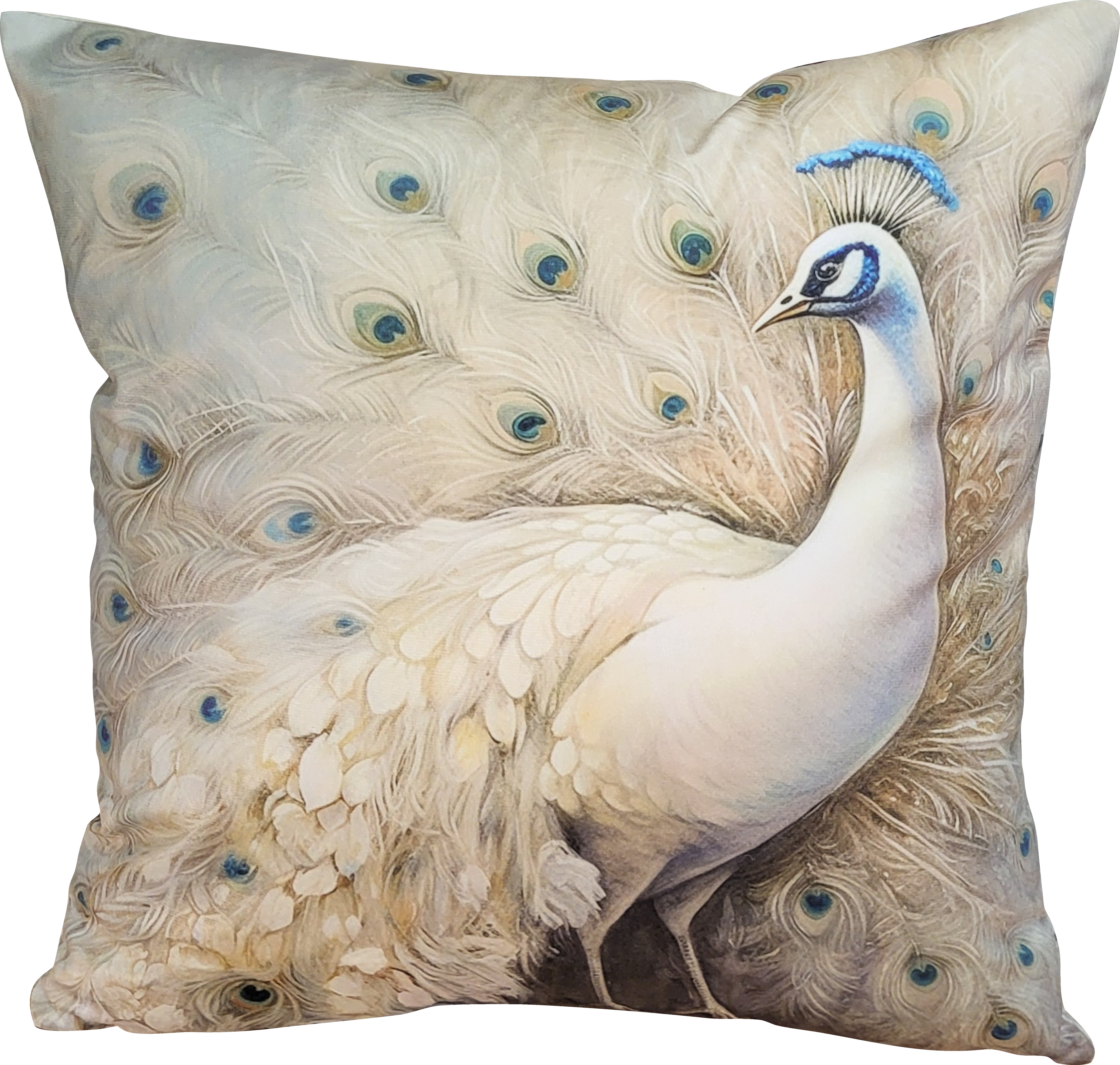 Housse de coussin paon EVA