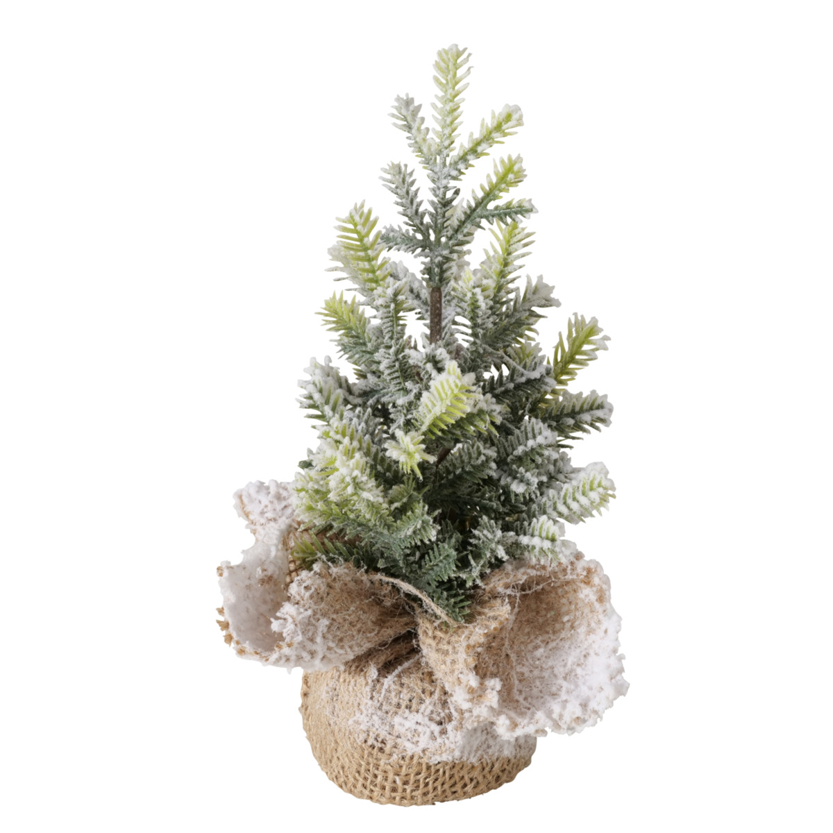 Sapin enneigé TANNE Sapin enneigé TANNE