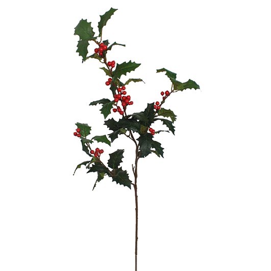 Branche décorative STECHPALME