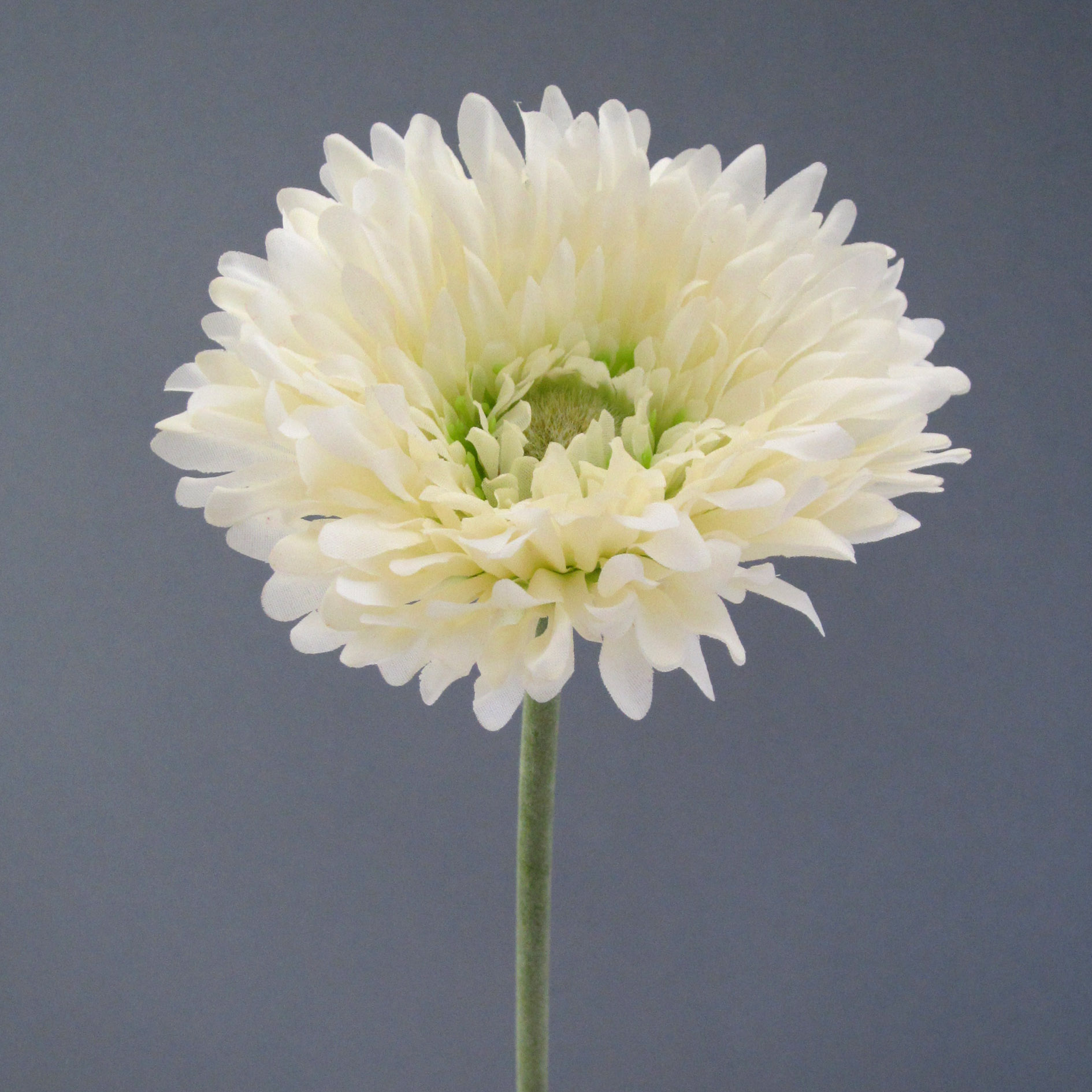 Fleur décorative GERBERA