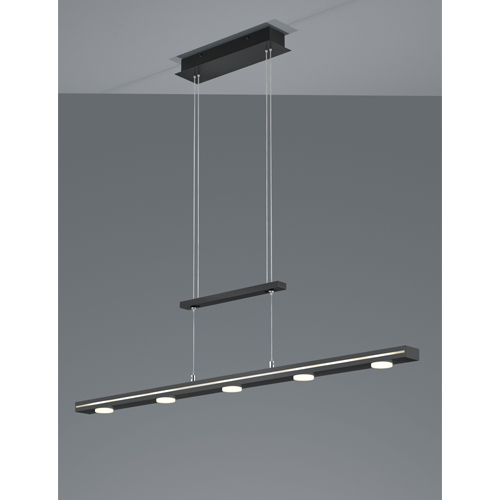 Suspension LED LACAL