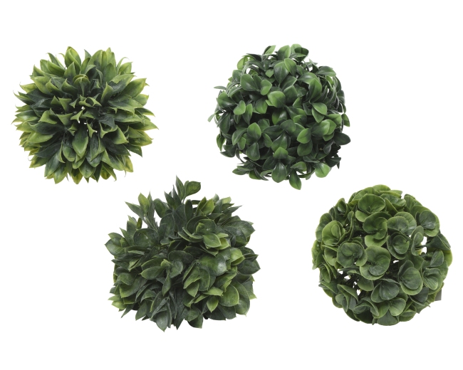 Plante décorative boule Plante décorative boule