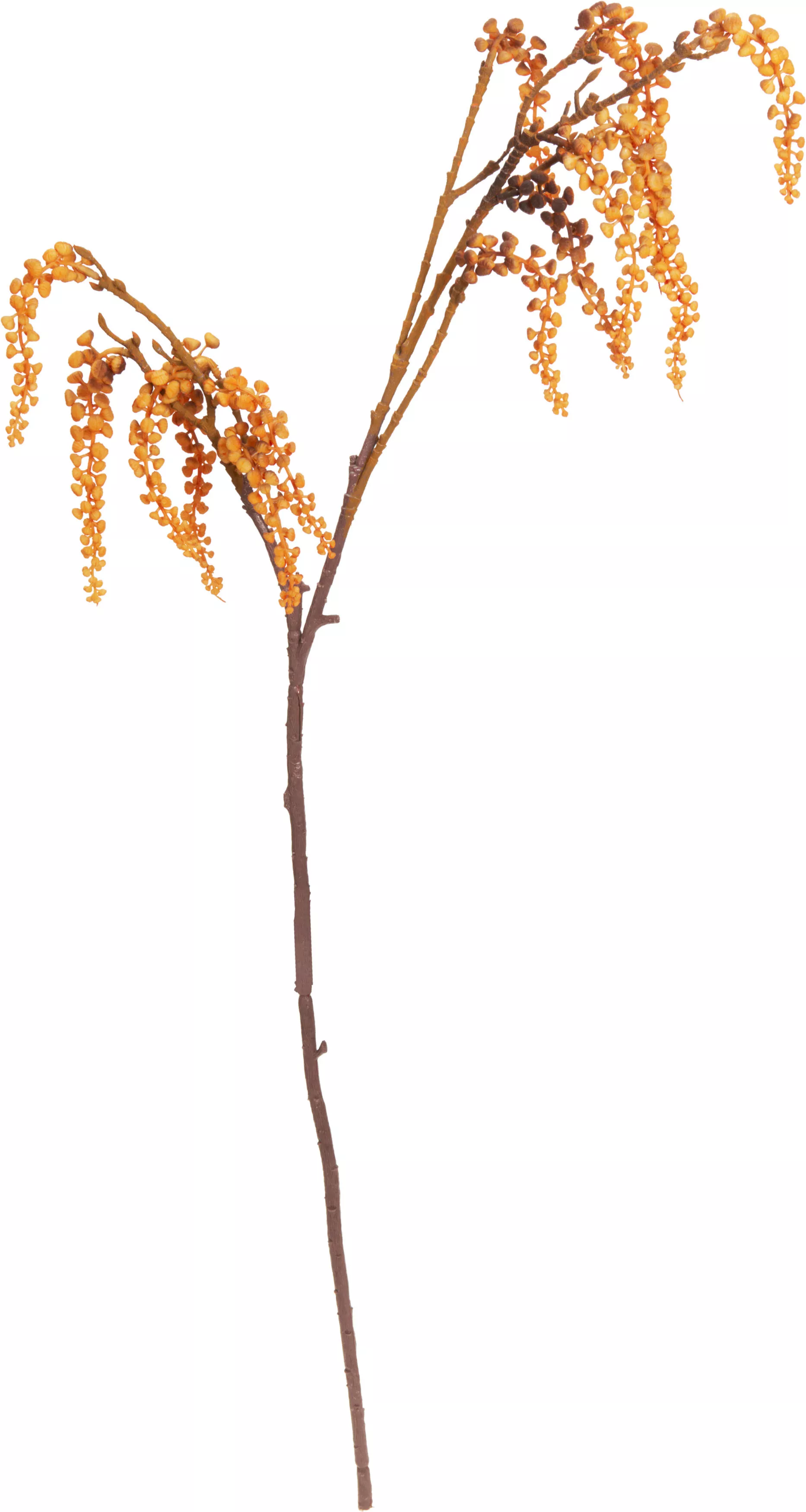 Branche d’automne HERBST