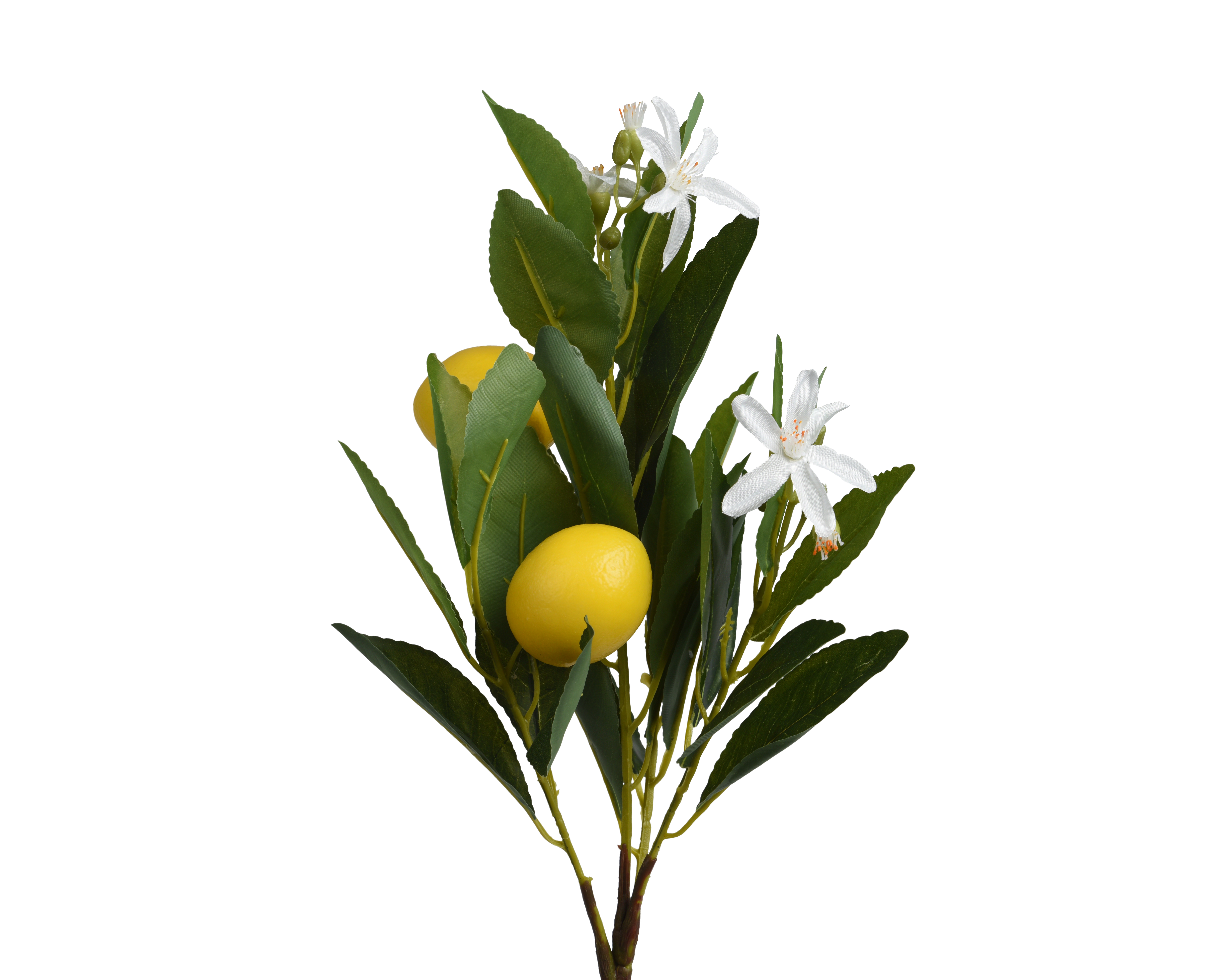 Branche décorative DEKO