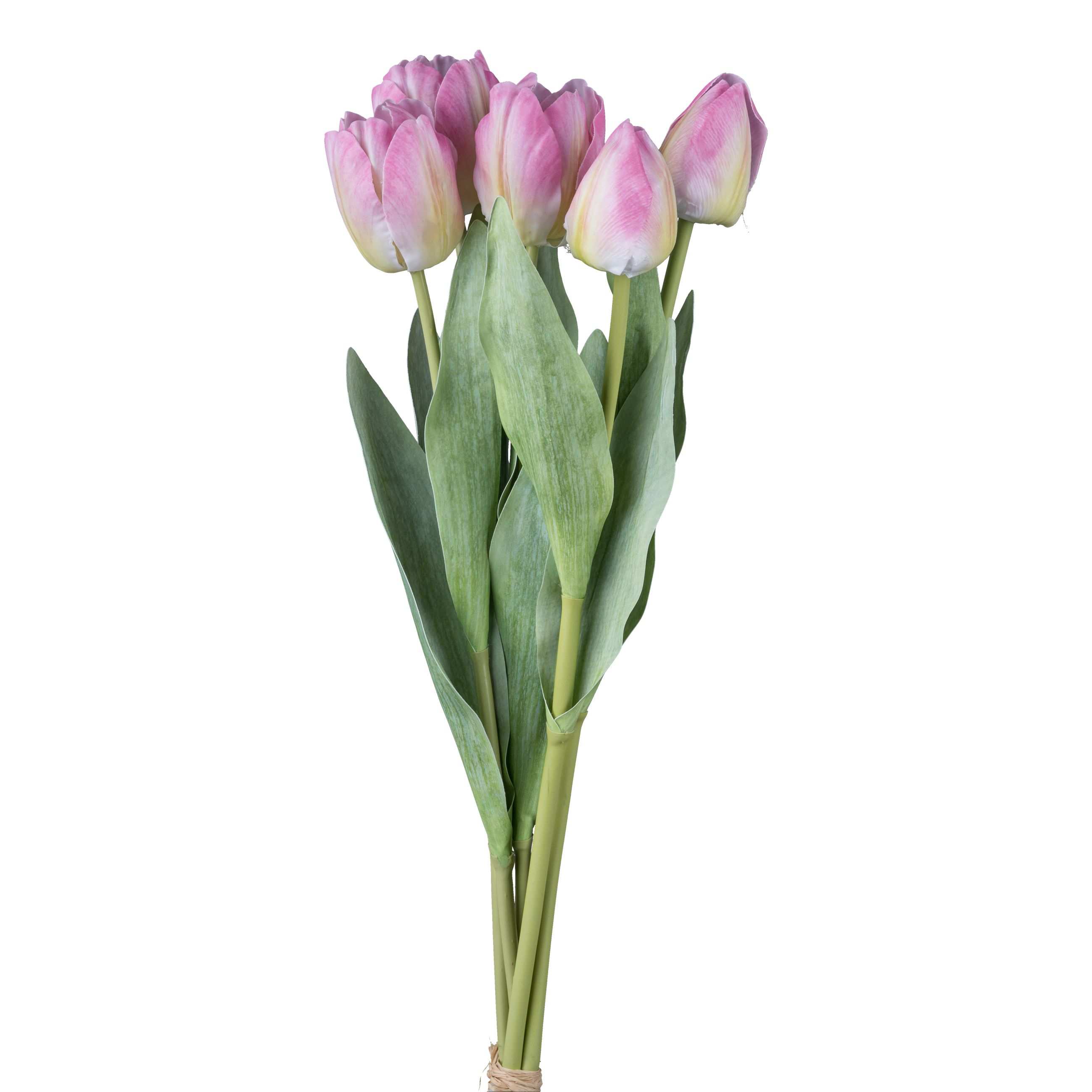 Bouquet de 5 tulipes TULPE