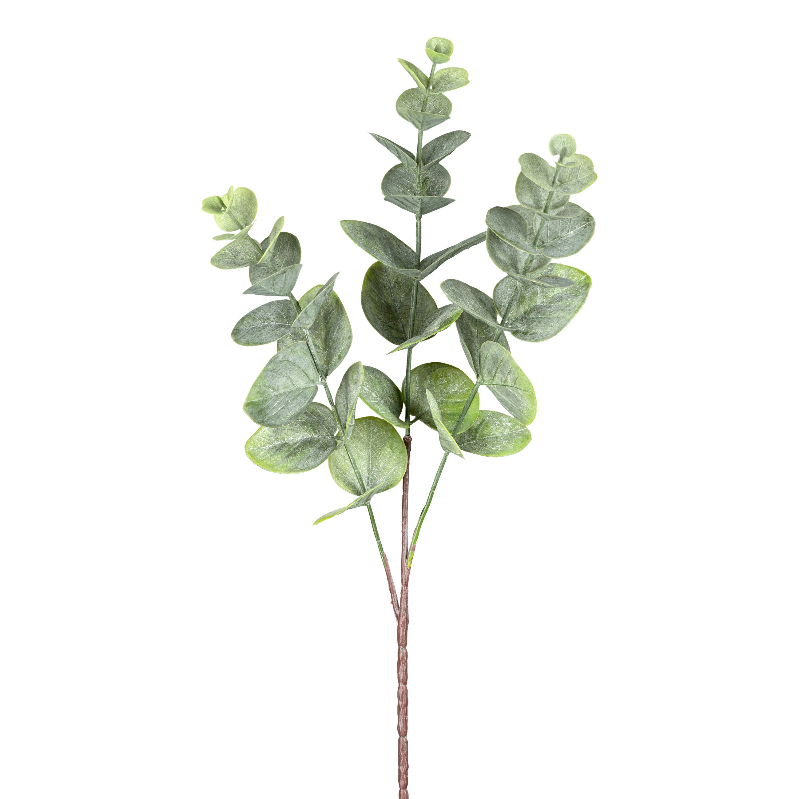 Plante artificielle branche d'eucalyptus  EUKALYPTUS