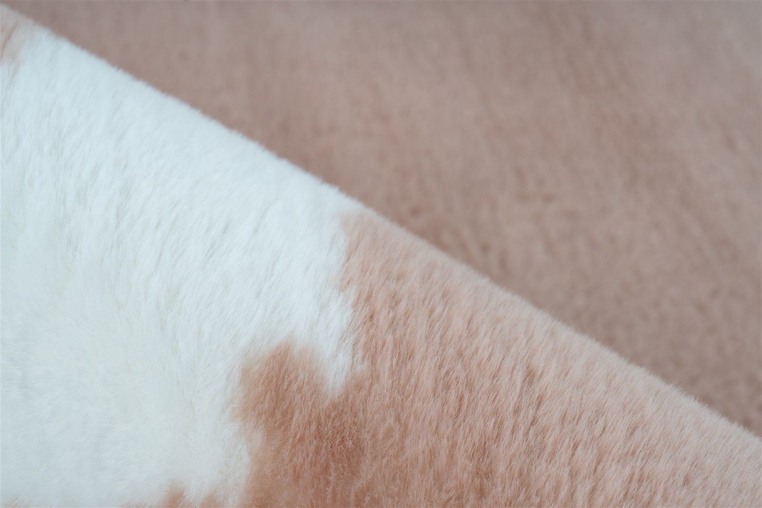 Tapis  RABBIT ANIMAL 500