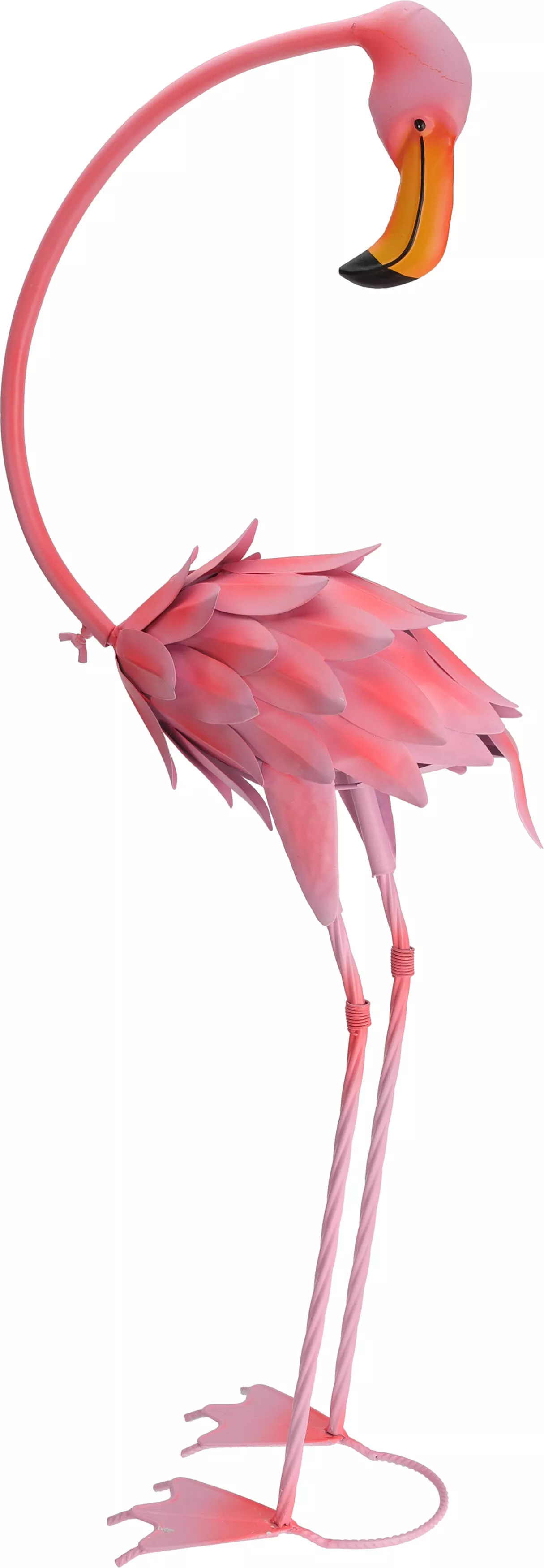 Flamant rose EH Flamant rose EH