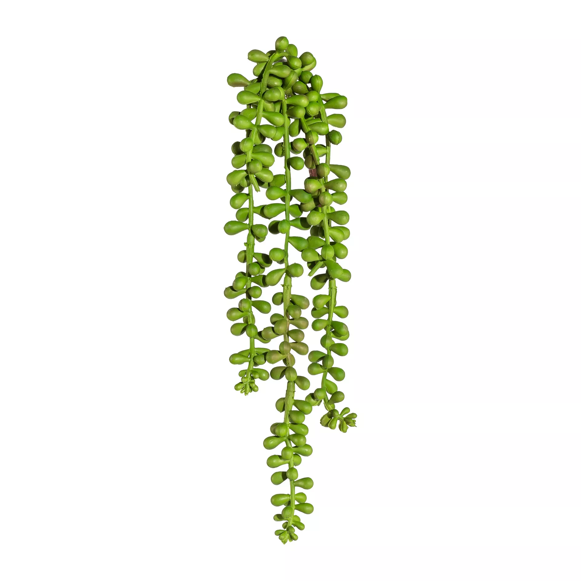 Dekopflanze Hängezweig SEDUM