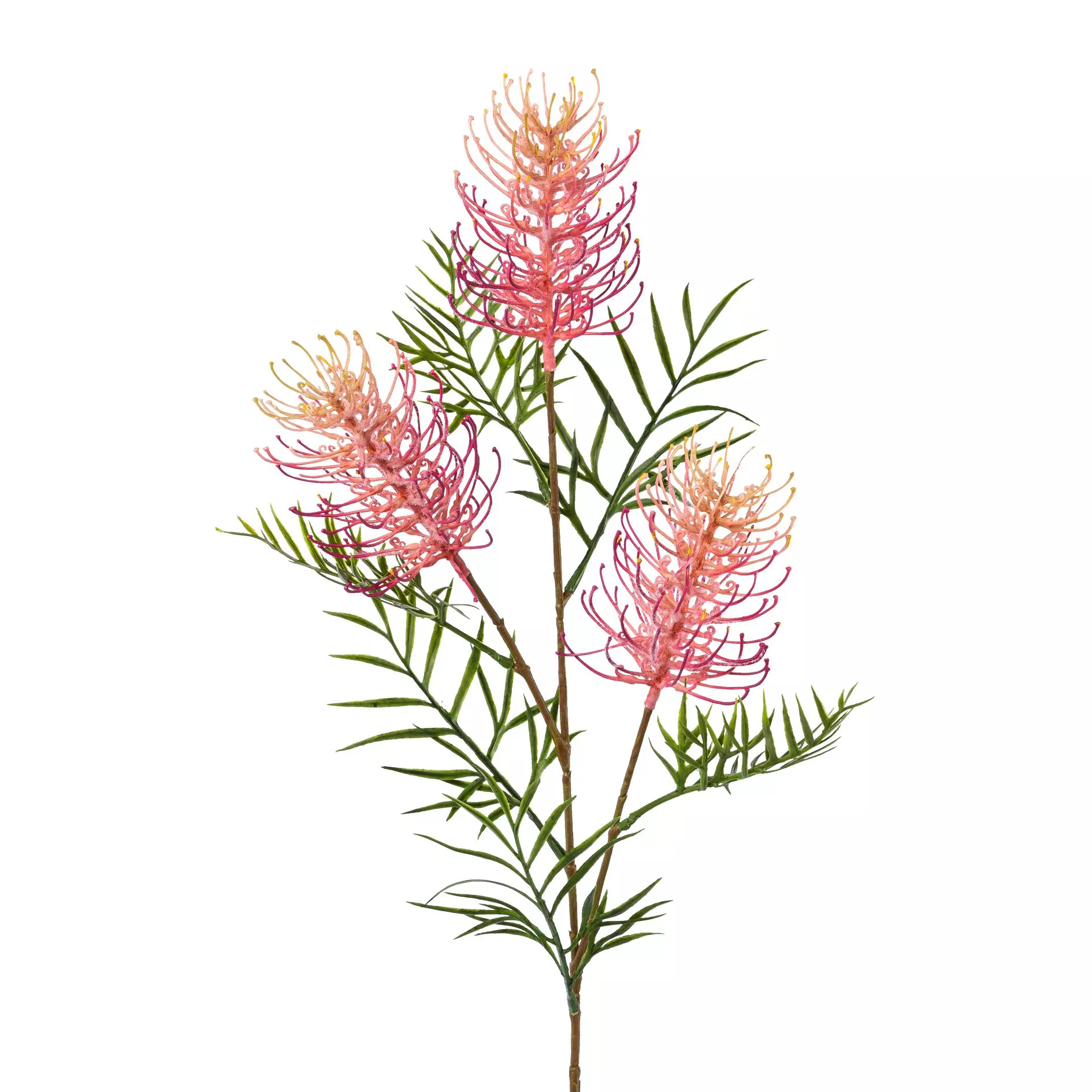 Branche décorative 83cm GREVILLEA