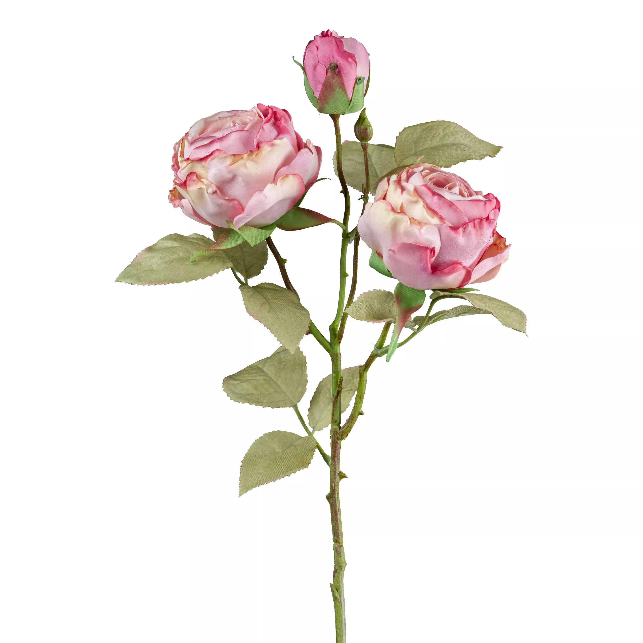 Branche avec 3 roses vintage VINTAGE ROSE