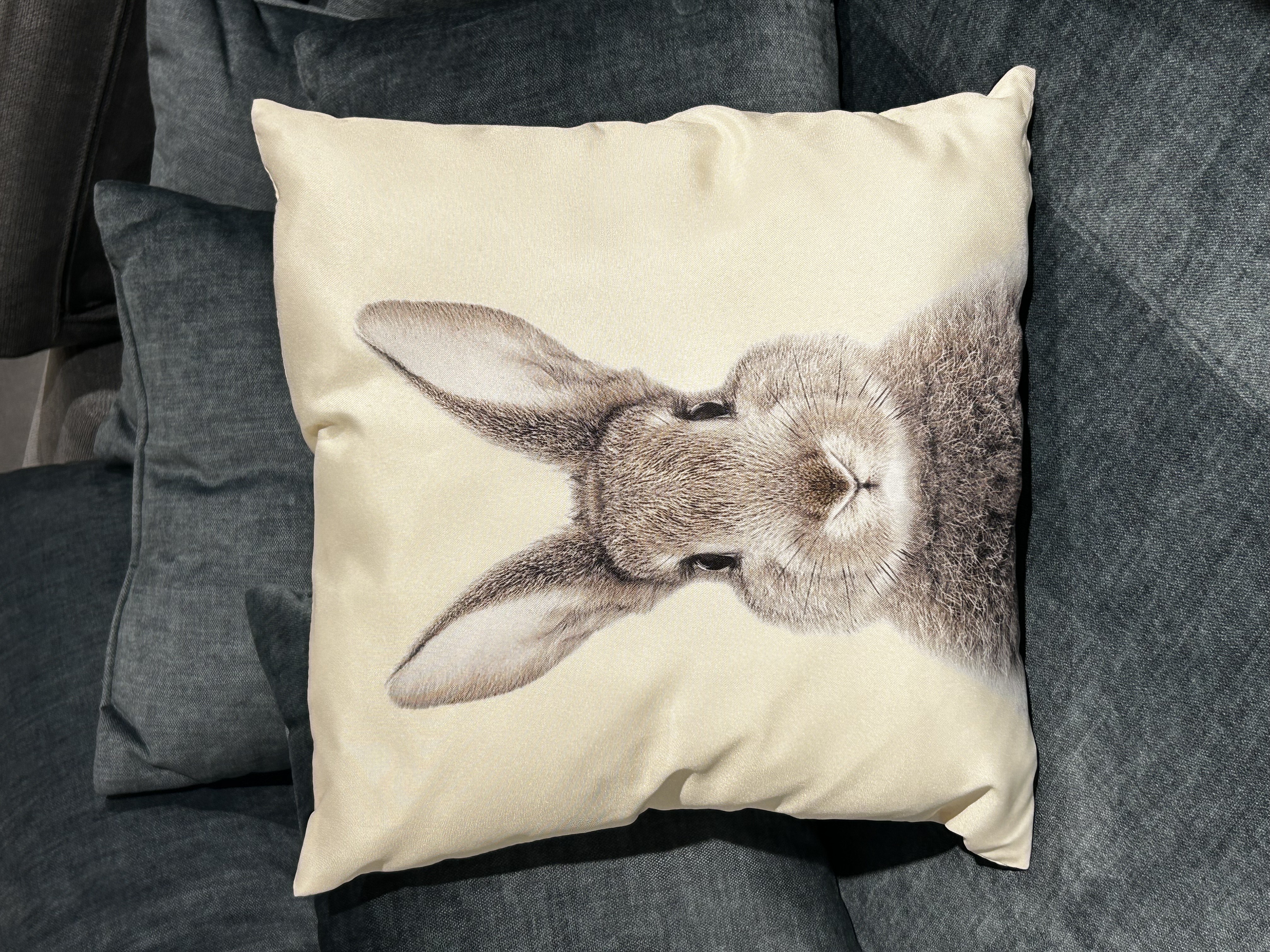 Coussin tête de lapin ROGER