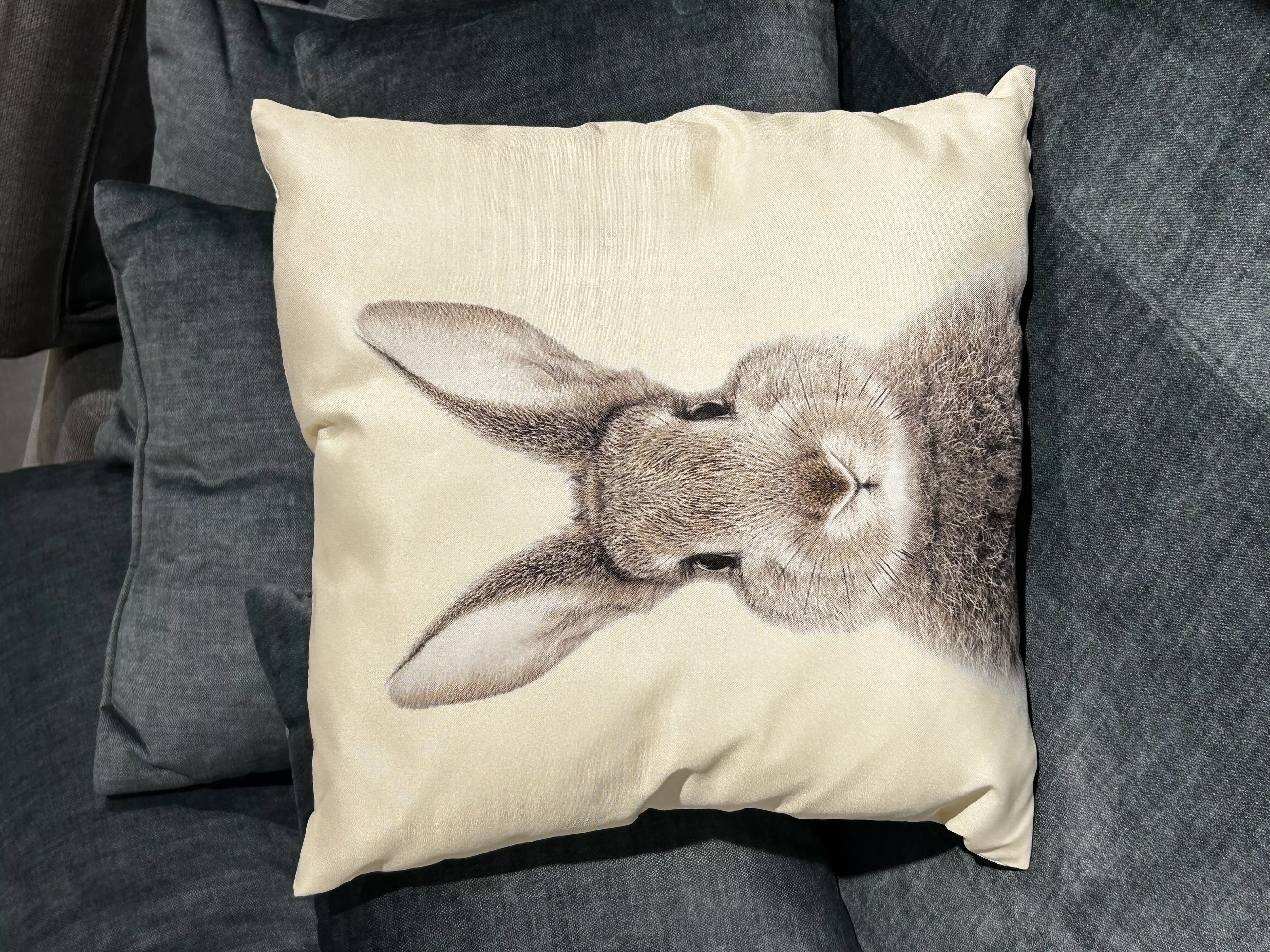 Coussin tête de lapin ROGER
