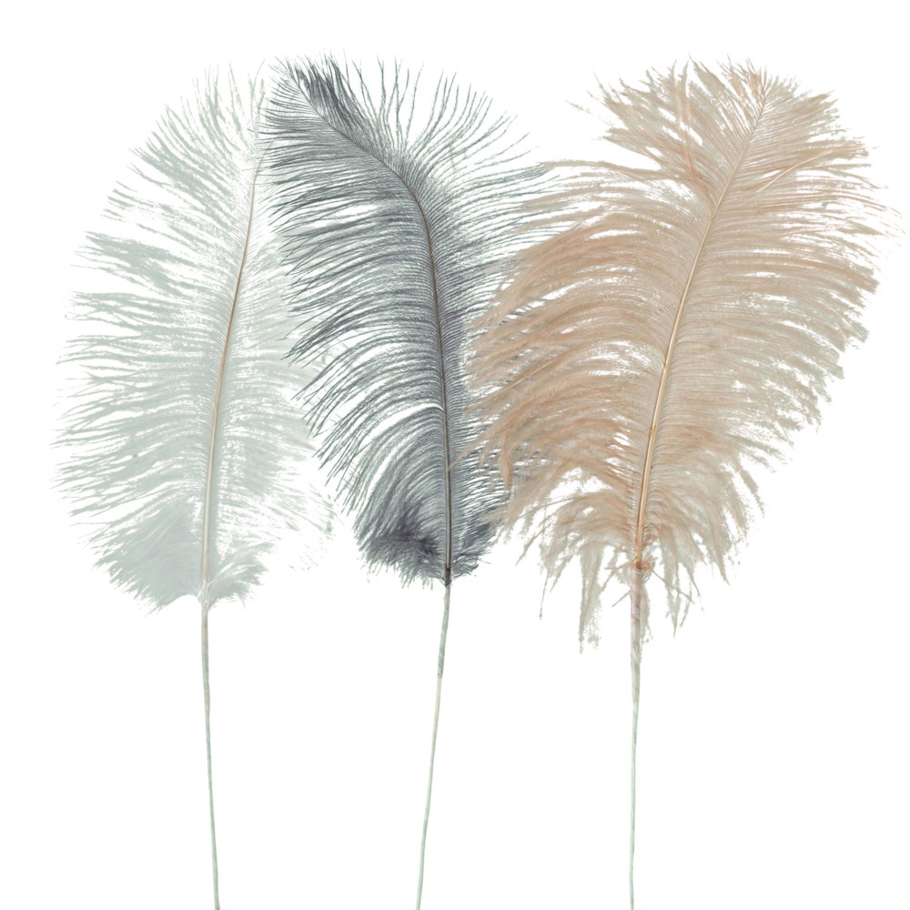Déco naturelle plume dans divers modèles PLUMIA