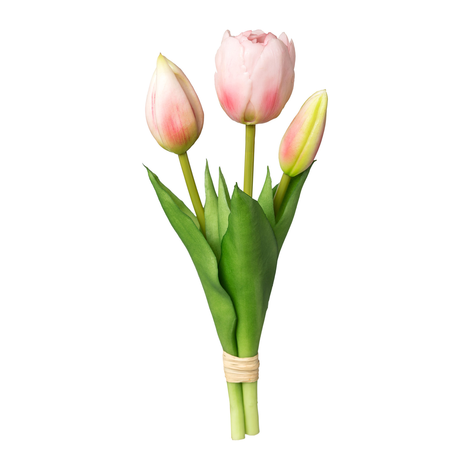 Bouquet de 3 tulipes TULPE