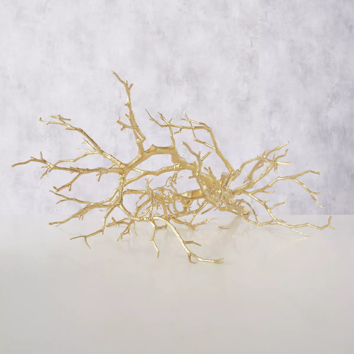 Branche décorative ASTRA