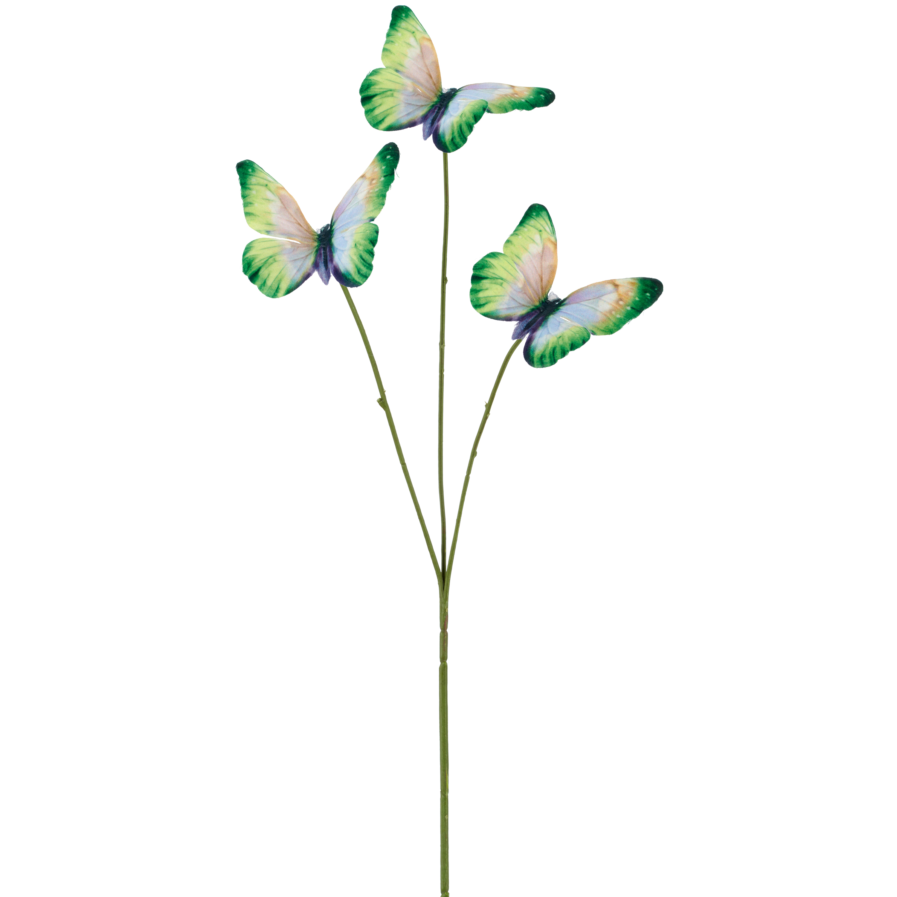 Schmetterlingszweig SCHMETTERLING