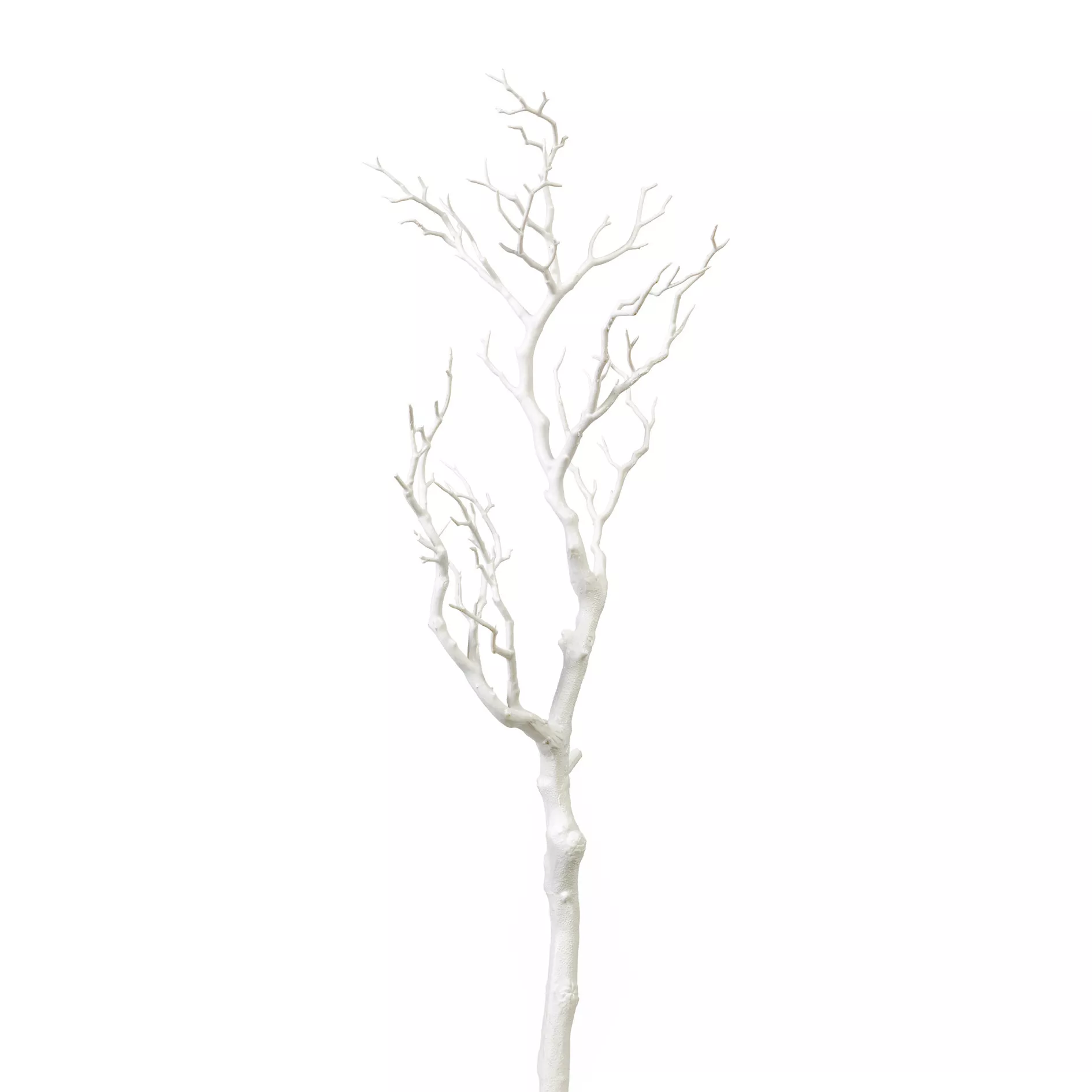 Branche décorative BERND