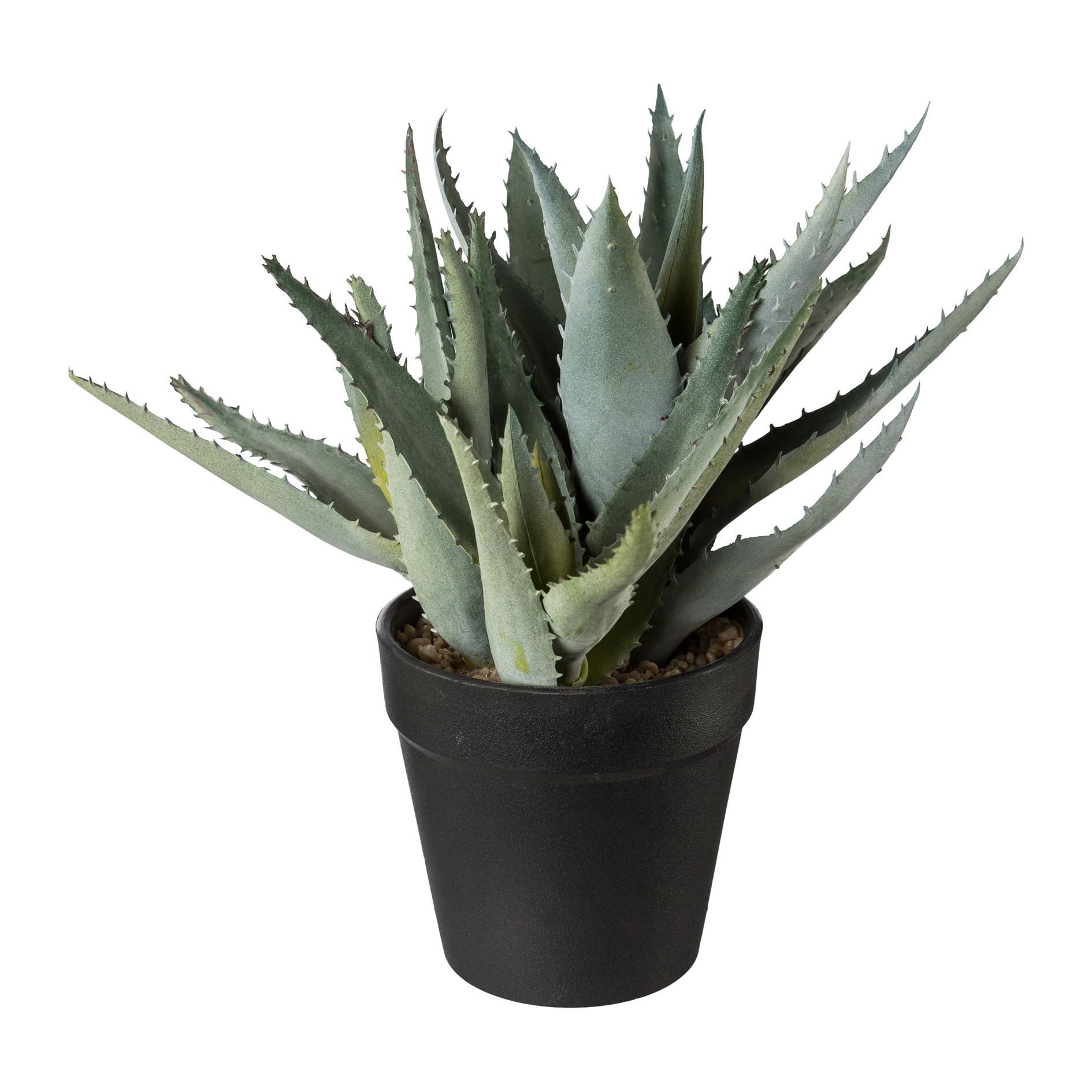 Plante décorative en pot 23cm ALOE