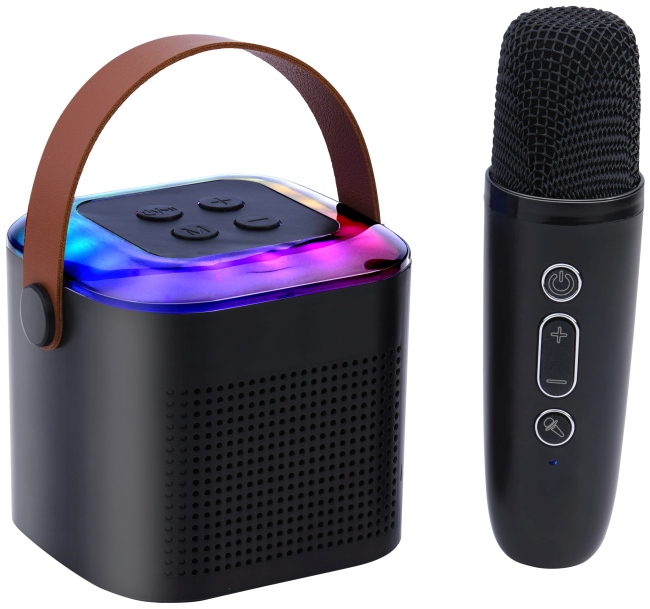 Kit mini karaoké 2 éléments SPEAKER
