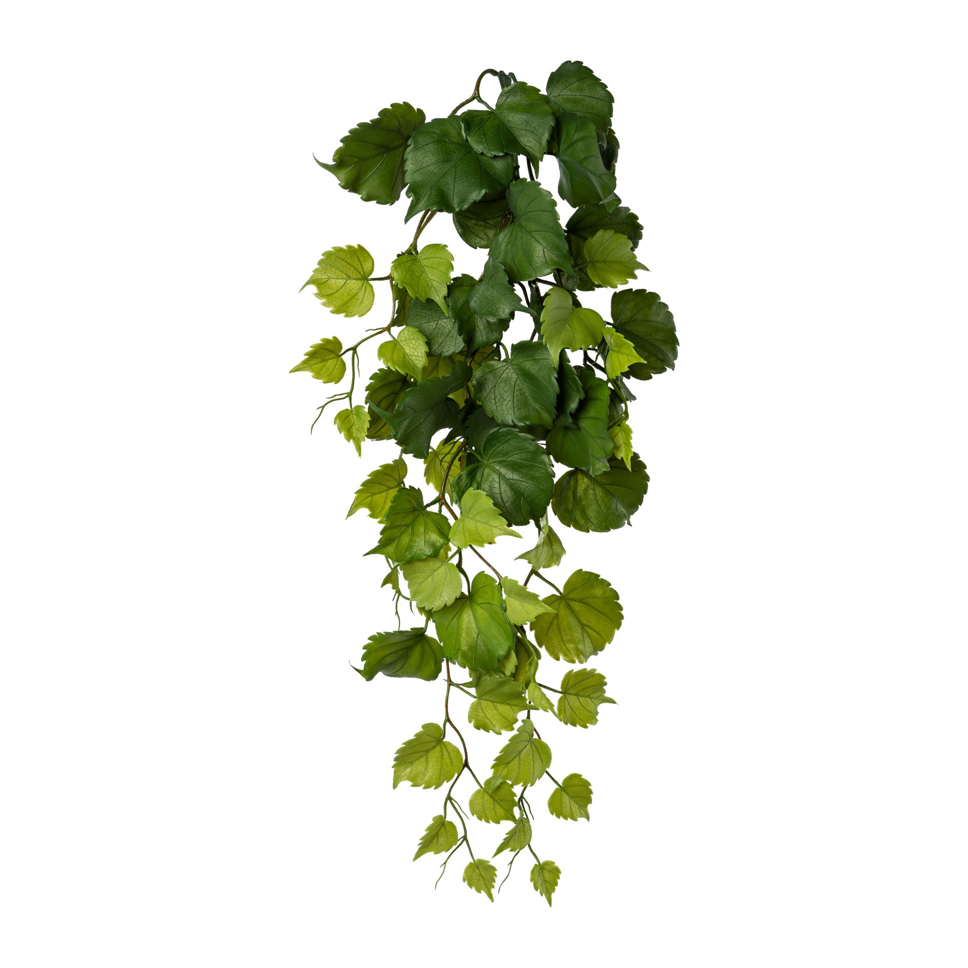 Hängezweig PAPPELBLÄTTER