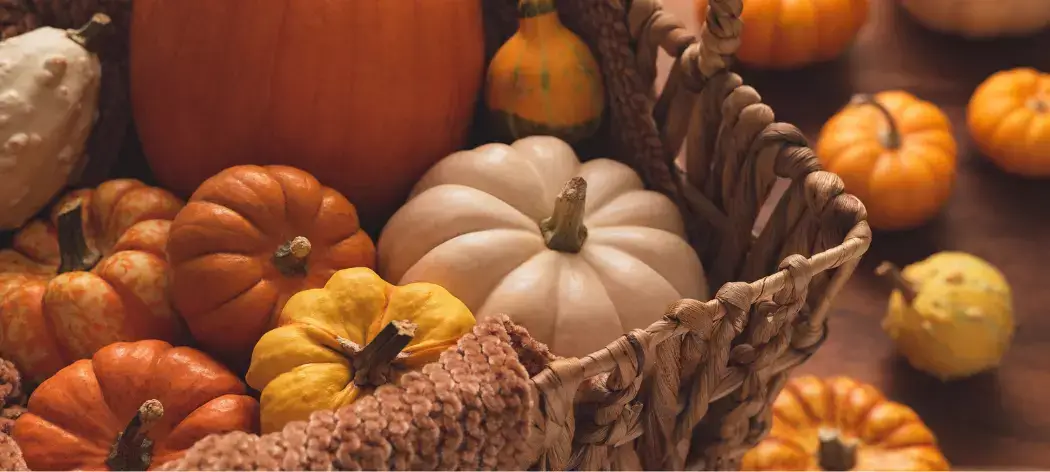 Herbstlich dekorieren Herbstlich dekorieren