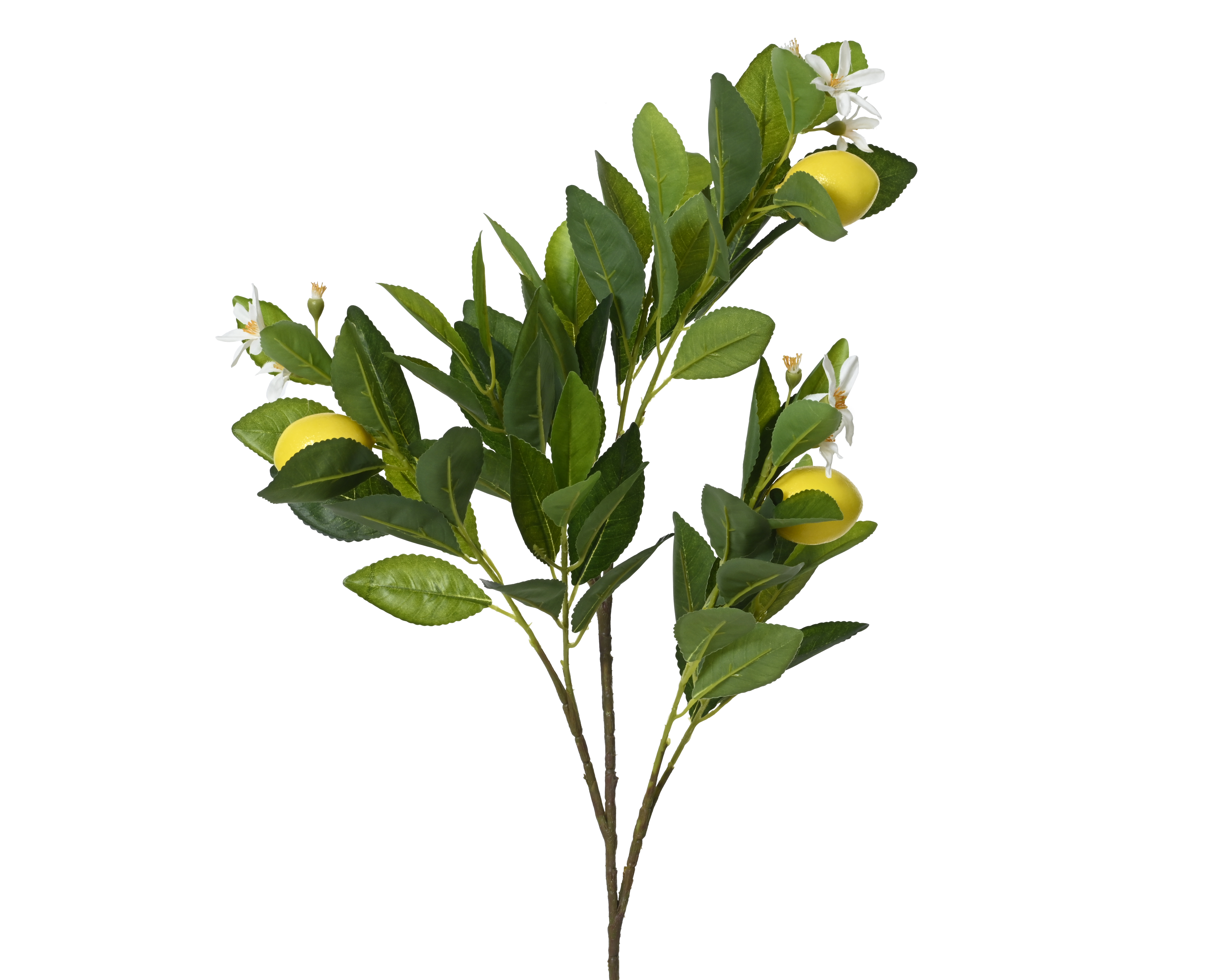 Branche décorative ZITRONE