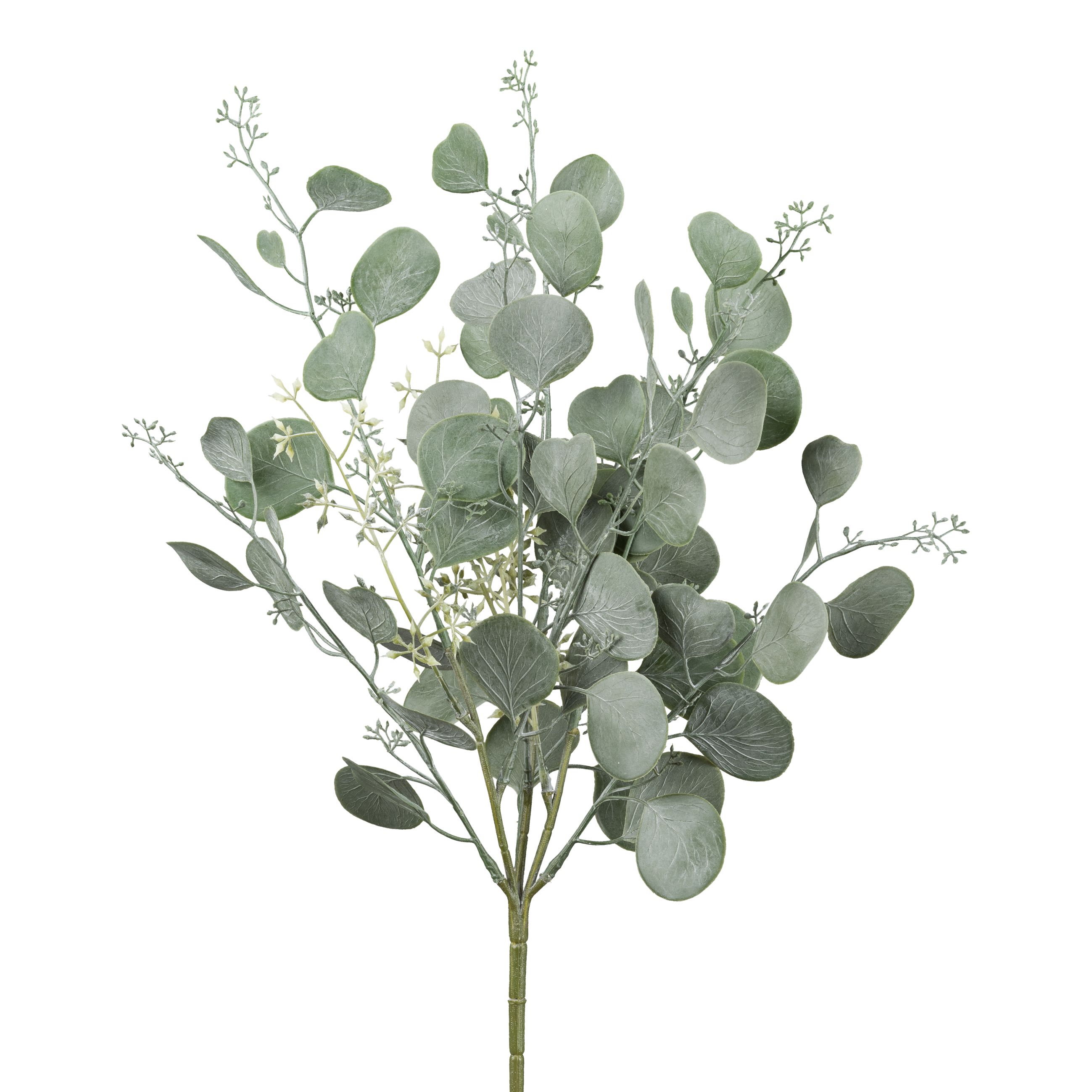 Branche décorative EUKALYPTUS