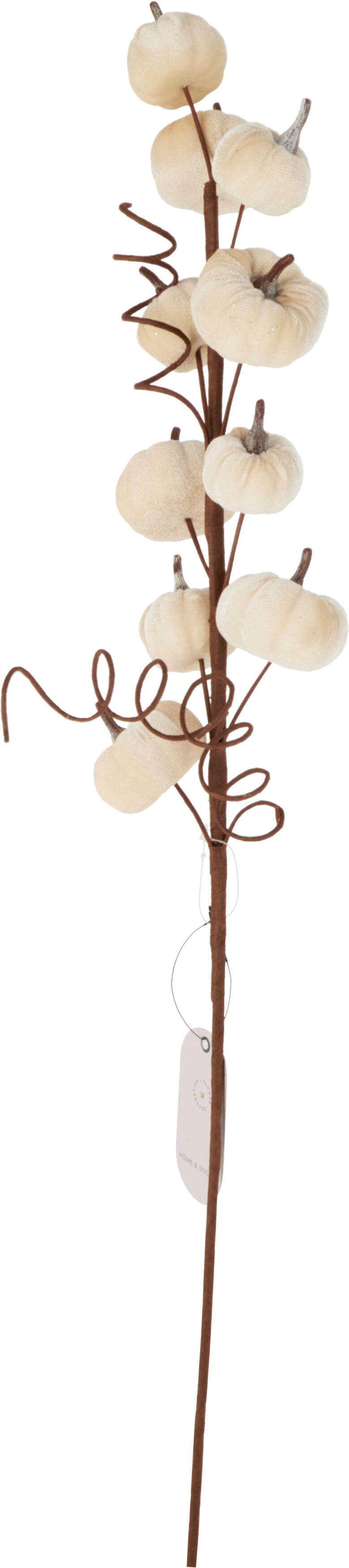 Branche d'automne feuilles HERBST