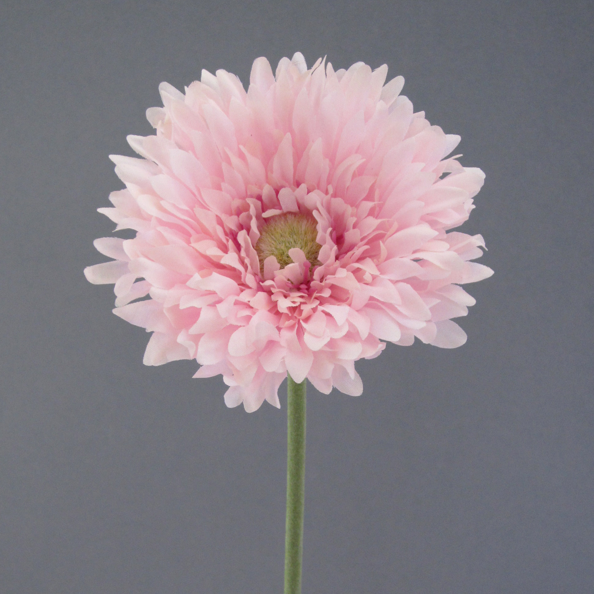 Fleur décorative GERBERA