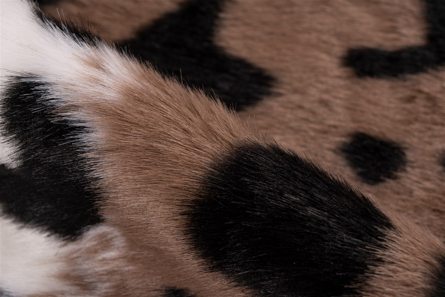 Tapis DESERT 325