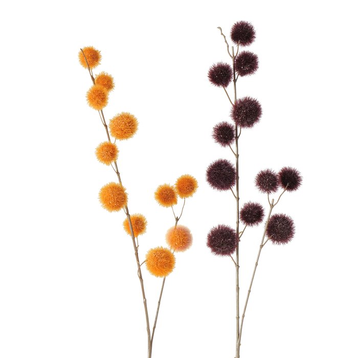 Branche  ALLIUM