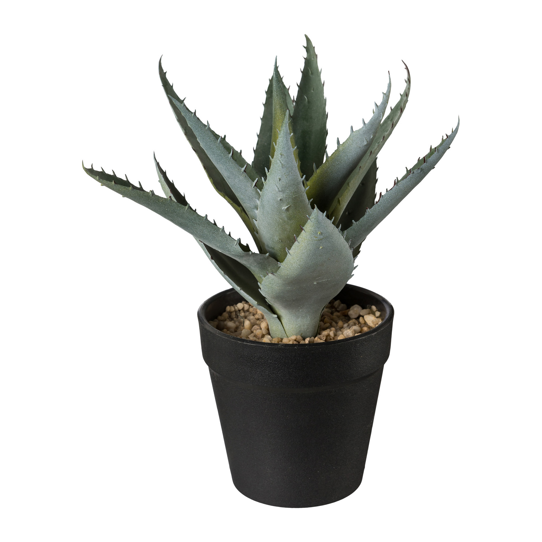 Plante décorative en pot 20cm ALOE