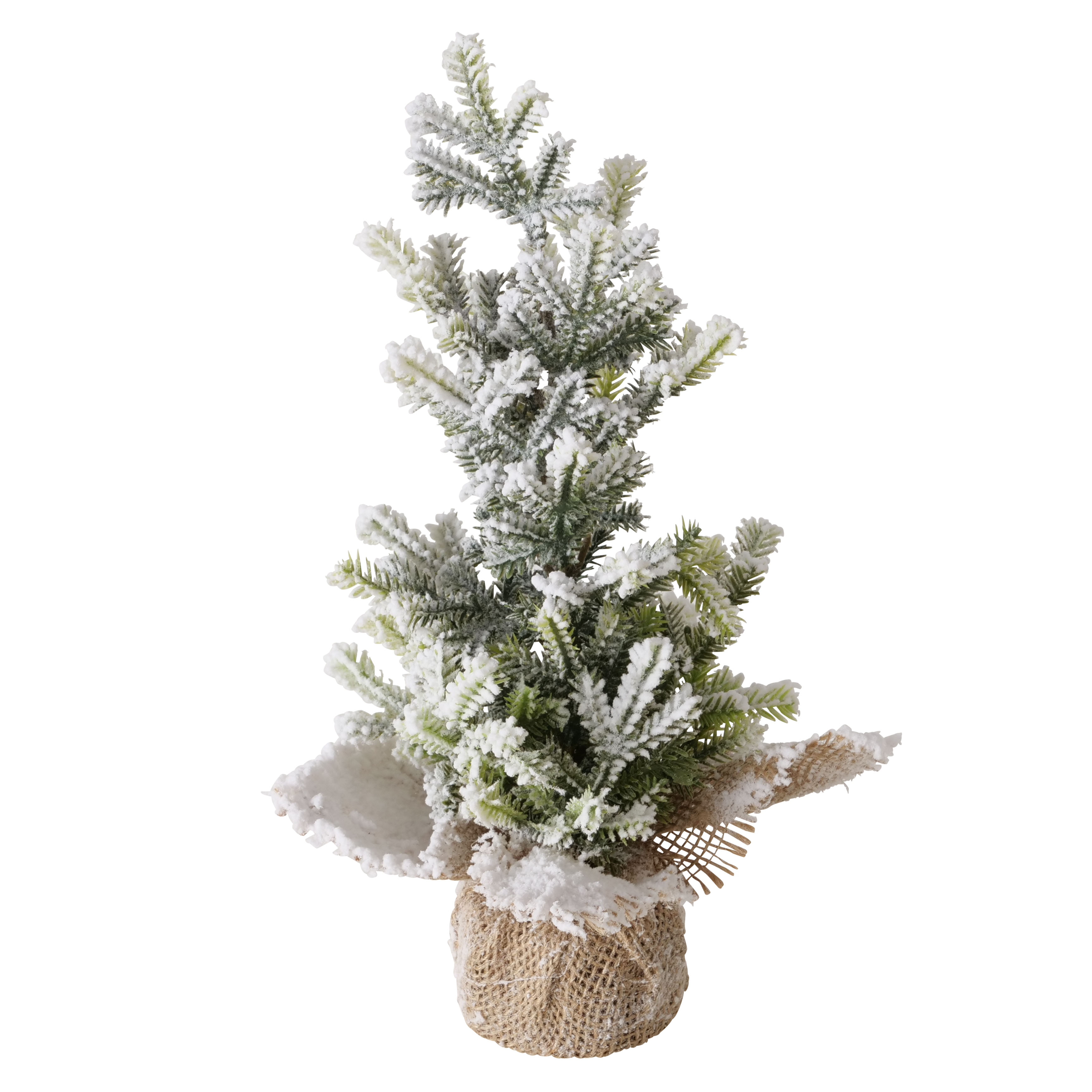 Sapin enneigé TANNE Sapin enneigé TANNE