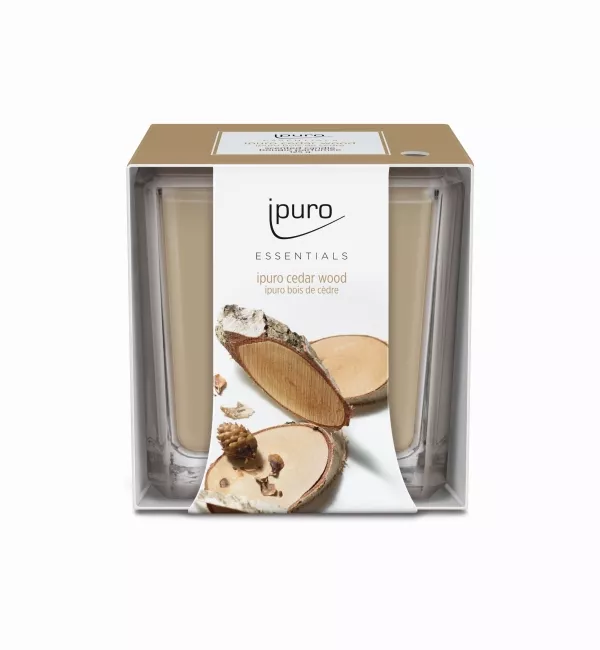 Bougie parfumée Ipuro CEDAR WOOD