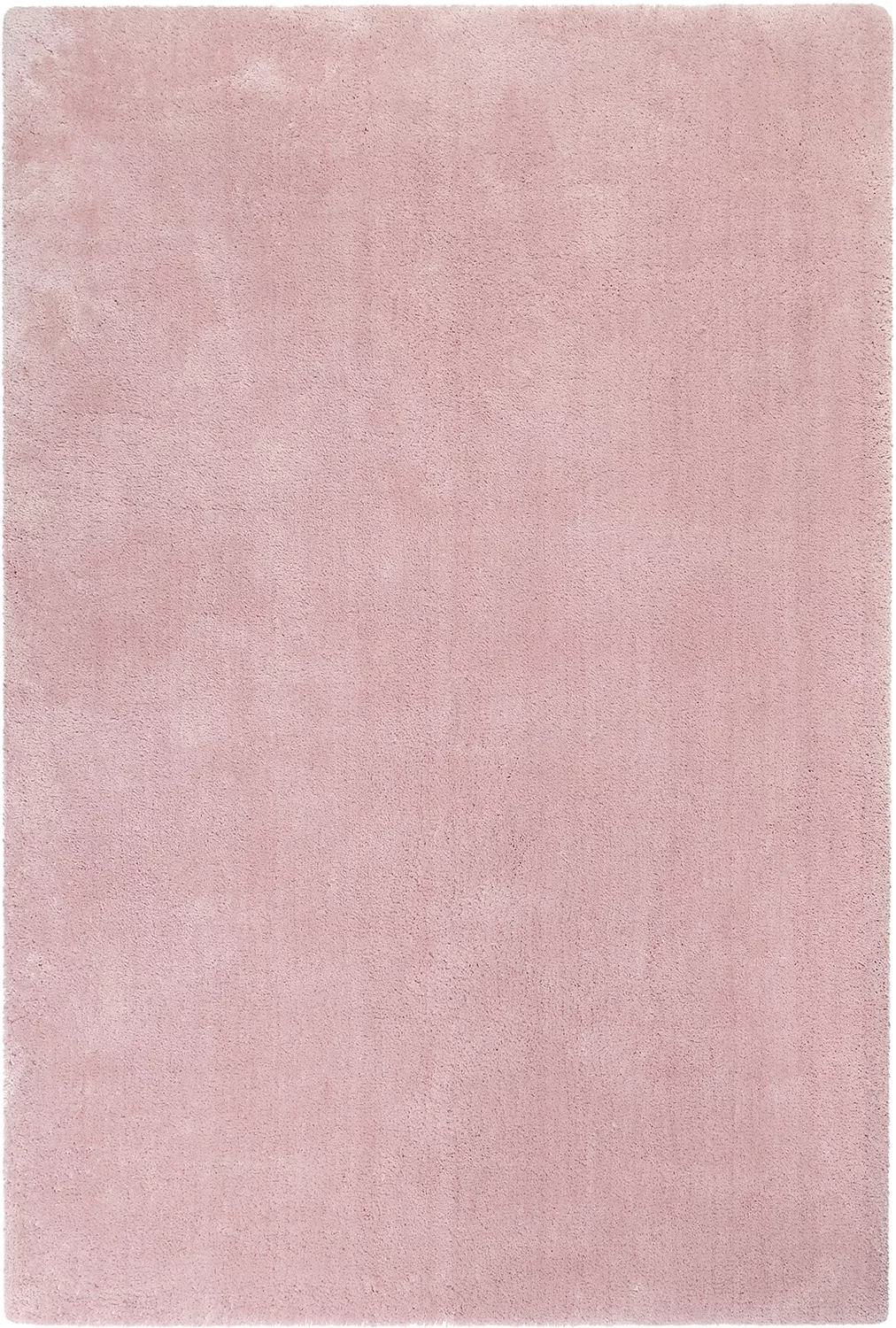 Tapis #