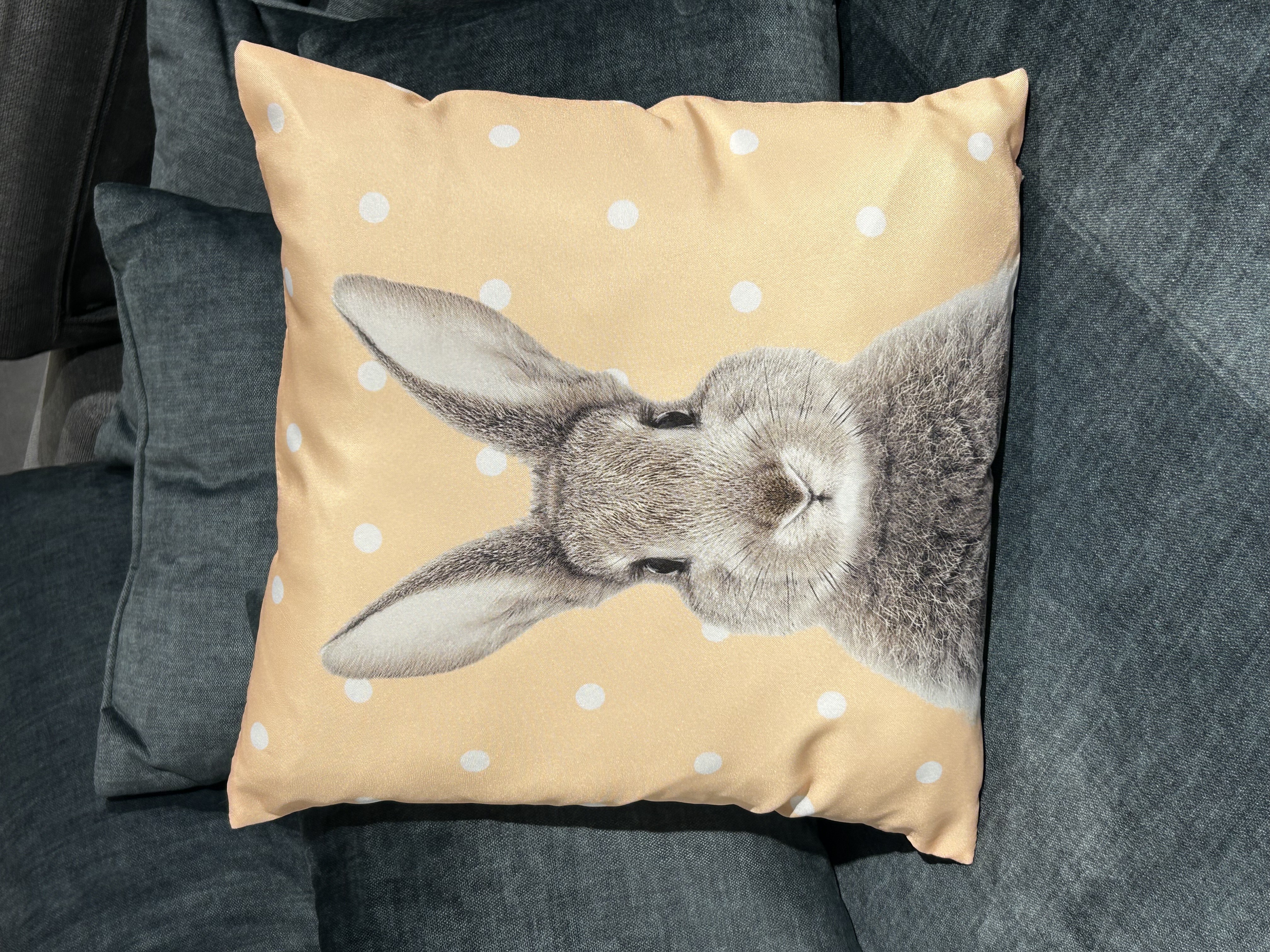 Coussin garni  ROGER